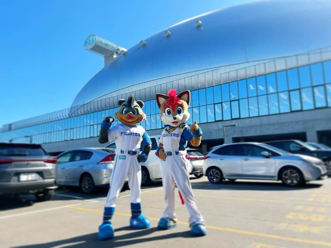 北海道日本ハムファイターズ フレップさんのインスタグラム写真 - (北海道日本ハムファイターズ フレップInstagram)「． 【月寒地区童夢街頭啓発】  今日は久しぶりに！！ 札幌ドームの前で写真を撮りました📸✨  #北海道日本ハムファイターズ　 #lovefighters  #新時代　#FANSAREOURTREASURE  #フレップ #bb212」10月13日 17時23分 - frep_the_fox