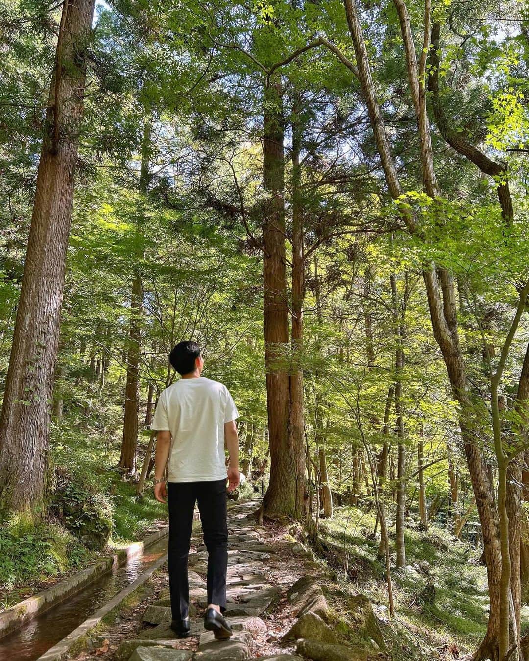 大川立樹さんのインスタグラム写真 - (大川立樹Instagram)「. 自然を求めて、緑を感じに、東京の外へ！  明日のめざましどようびも宜しくお願い致します！  #自然 #森林浴 #吊り橋  #大川立樹」10月13日 17時55分 - riki_okawa