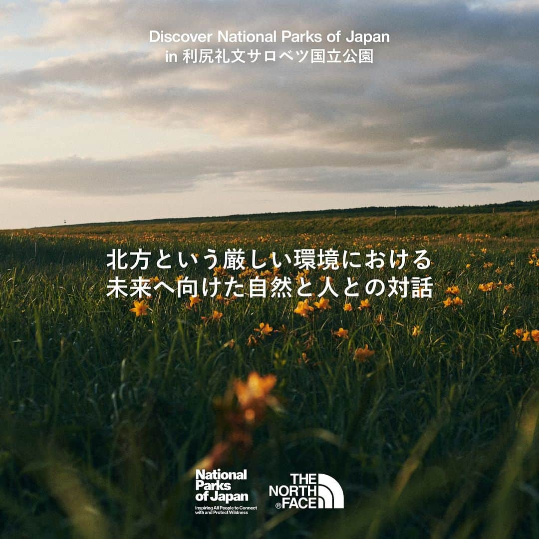 THE NORTH FACE JAPANさんのインスタグラム写真 - (THE NORTH FACE JAPANInstagram)「【 国立公園ストーリー 】 『北方という厳しい環境における未来へ向けた自然と人との対話』 @ 利尻礼文サロベツ国立公園 利尻礼文サロベツ国立公園。利尻山をはじめとする山岳や、さまざまな高山植物、そして日本最大級のサロベツ原野など、ダイナミックで変化に富んだ景観を持つ。そして 2024 年には 50 周年というアニバーサリーイヤーを迎える。 一大観光地として、多くの人々を受け入れている一方で、さまざまな課題も抱えている。 それらを解決すべく、身を粉にして動き続ける北の守人たち。 最北の国立公園で交わされる、自然と人との対話。 そこには共生の未来へのヒントが詰まっていた。    ＊“National Parks of Japan Project”は日本各地の国立公園が誇る美しい自然風景、その土地で育まれてきた歴史や文化の豊かな物語を、Goldwin、THE NORTH FACE、HELLY HANSEN といったゴールドウインが抱えるブランドの独自の目線で発信するプロジェクトです。 photography by @hinanokimoto   #ザノースフェイス #thenorthface #利尻礼文サロベツ国立公園 #国立公園  #nationalparksofjapanproject」10月13日 18時00分 - thenorthfacejp