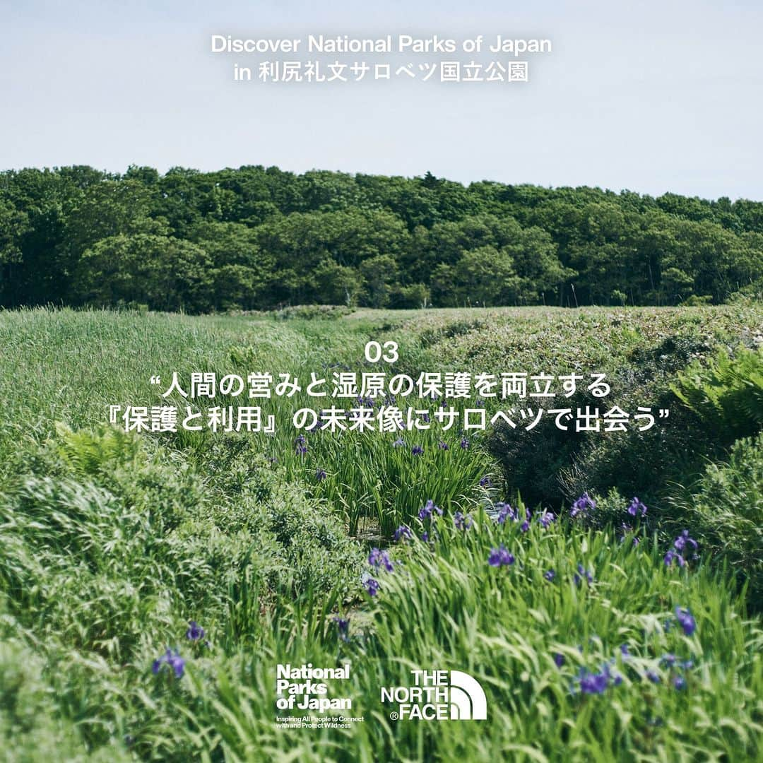 THE NORTH FACE JAPANさんのインスタグラム写真 - (THE NORTH FACE JAPANInstagram)「【 国立公園ストーリー 】 『北方という厳しい環境における未来へ向けた自然と人との対話』 @ 利尻礼文サロベツ国立公園 利尻礼文サロベツ国立公園。利尻山をはじめとする山岳や、さまざまな高山植物、そして日本最大級のサロベツ原野など、ダイナミックで変化に富んだ景観を持つ。そして 2024 年には 50 周年というアニバーサリーイヤーを迎える。 一大観光地として、多くの人々を受け入れている一方で、さまざまな課題も抱えている。 それらを解決すべく、身を粉にして動き続ける北の守人たち。 最北の国立公園で交わされる、自然と人との対話。 そこには共生の未来へのヒントが詰まっていた。    ＊“National Parks of Japan Project”は日本各地の国立公園が誇る美しい自然風景、その土地で育まれてきた歴史や文化の豊かな物語を、Goldwin、THE NORTH FACE、HELLY HANSEN といったゴールドウインが抱えるブランドの独自の目線で発信するプロジェクトです。 photography by @hinanokimoto   #ザノースフェイス #thenorthface #利尻礼文サロベツ国立公園 #国立公園  #nationalparksofjapanproject」10月13日 18時00分 - thenorthfacejp