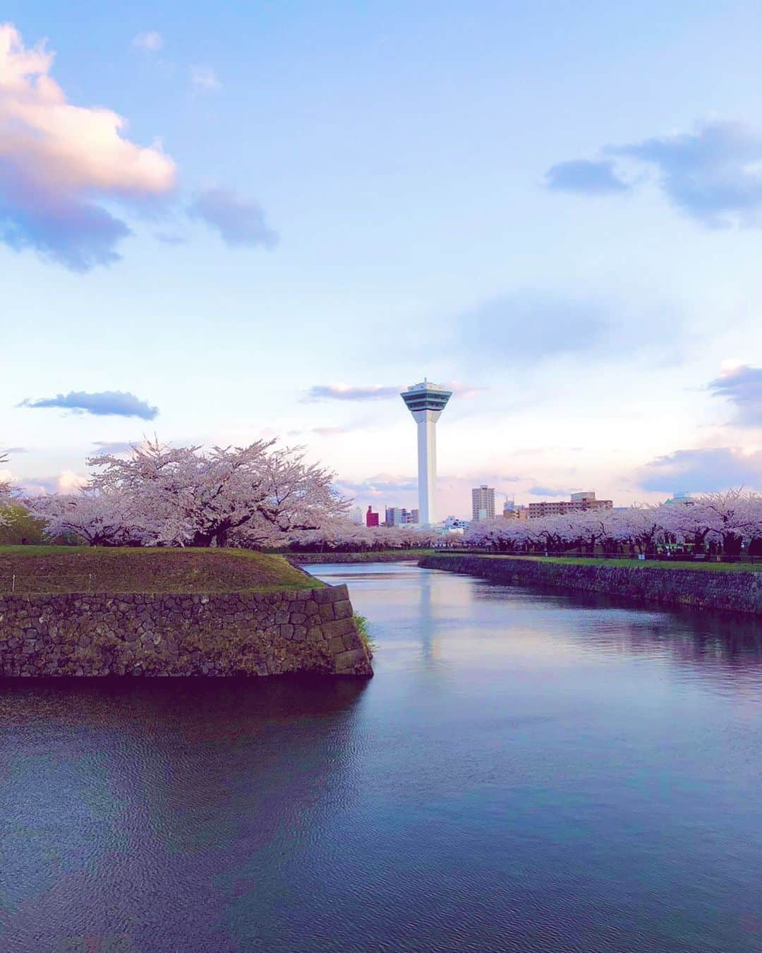 ボールドウィン零のインスタグラム：「寒暖差が激しすぎて桜咲いちゃったんだって！！ 今日ニュースでやってた🤭  寒暖差対策には湯船に浸かるのがいいらしいよ🛀  みんなも気をつけてね！！  写真は4月に家族旅行した時に行った五稜郭タワーと桜だよ〜🌸  #五稜郭タワー #五稜郭公園の桜 #函館観光スポット」