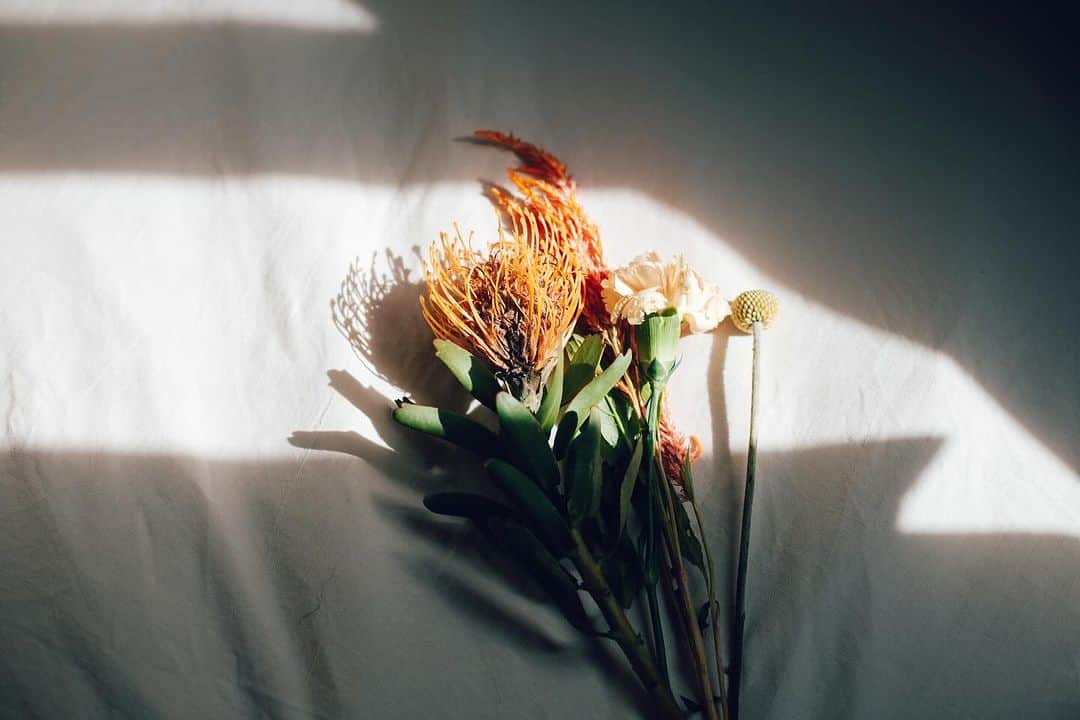 LuCyCoさんのインスタグラム写真 - (LuCyCoInstagram)「【 sunとわたしのストーリー 】  …………………  この日  ふとはいったお花屋さんで目に入った  "ソレイユ"という珍しい形の花  自分の子宮に 贈ったはじめての花 …………………..  人生でいちばんつらくて 真っ暗で冷たい深海のような出来事を乗り越えたころ  慣れ親しんだ場所や便利さを手放して導かれるように引越した、海と畑のそばにあるいまのアパートには   "ソレイユ"という単語がはいっている  ソレイユ = スペイン語で太陽という意味があることを知ったのはしばらく経ってからだ  ３３歳　後厄だからかなぁ 散々だなぁ　と洩らしたわたしに  ちがうよ。 いろいろ乗り越えて 燦々と輝く太陽のような女性になるための出来事なんだよ  と、七福神にいそうな 福の神様みたいな人に言われたとき  あ、そうか。 これでいいんだ。  と、それまでふわふわ浮いていた点と点が、いっきに繋がった感覚がした。  苦しくてもがいていた深海時代  屋久島に住む永遠の少女のような人にタロットカードのセッションでメッセージをもらったとき  2回　"the Sun" という太陽のカードがでてきた  それからずっと わたしのiPhoneの待ち受けはそのカードの絵柄  もっともっと、軽くなって 明るくなって 本当の自分らしく輝いて まわりを照らすために  いまのわたしに足りていない 太陽のような強くてあたたかい、すべてを生かすエネルギーがサポートしにきてくれたんだなぁと  三位一体レベルで実感した  それから  "太陽・3・sun" そんなキーワードばかりが日常の中でシンクロしていたことにあとになって氣づいた。  いま、ここ、この瞬間 すべてわたしの望んだ世界になっている  そしてすべては調和に導かれている  だからなにも失うものはない  わたしはどんどん良くなっている  それをしっかり腑に落としてくれたのは  深海のようなつらい出来事と  まわりに転がる 目にはみえない太陽のようなエネルギーだった。  ——————————————— photo by @maya___camera  ———————————————  ♢いるだけでまわりを浄化できるようになりたい人  ♢見えない世界を観たい人  ♢もっと安心して 氣楽に生きたい人 ...etc  一生もののスキルと ブレない精神を伝授します♾️  靈氣伝授セッションin 関東 (2023年ラスト🌀)  10月 南葉山 満員御礼🙏♾️  ●level.1 ● 10/19🈵  ●level.1&level.2●  10/15🈵 10/16🈵  10/18🈵 10/20🈵  ●level.3 ● 10/14 🈵  詳細・スケジュールは ストーリーズ📝  お申し込み・料金などは DMへ🕊️  …………………………………  靈氣伝授セッション in 沖縄  リクエスト開催受付中🌿 ——————————————  他流派さんからの再伝授ok☀︎   靈氣学んだけどつかってない 使い方わからない、精神性の高め方がわからない方などに満足いただいてます☀︎   …………………………………  ☯️  energy wave healing session 120min 18000yen(フラワーエッセンス付き) in 南葉山   10/17 🈳1(10:00〜)  ………………………..  各種ヒーリングセッション in対面沖縄・オンライン・遠隔 随時お申し込みOK🕊️  詳細はプロフィールのリンクにて☀︎  #セルフラブ #波動をあげる #自分を大切にする方法 #ハイヤーセルフ #レイキヒーリング #宇宙の法則で生きる #心地よく生きる #自分を知りたい #靈氣ヒーリング  #レイキ伝授 #魂の恋愛 #ツインレイ #レイキ #レイキマスター  #レイキヒーラー」10月13日 18時35分 - lucyco_blue