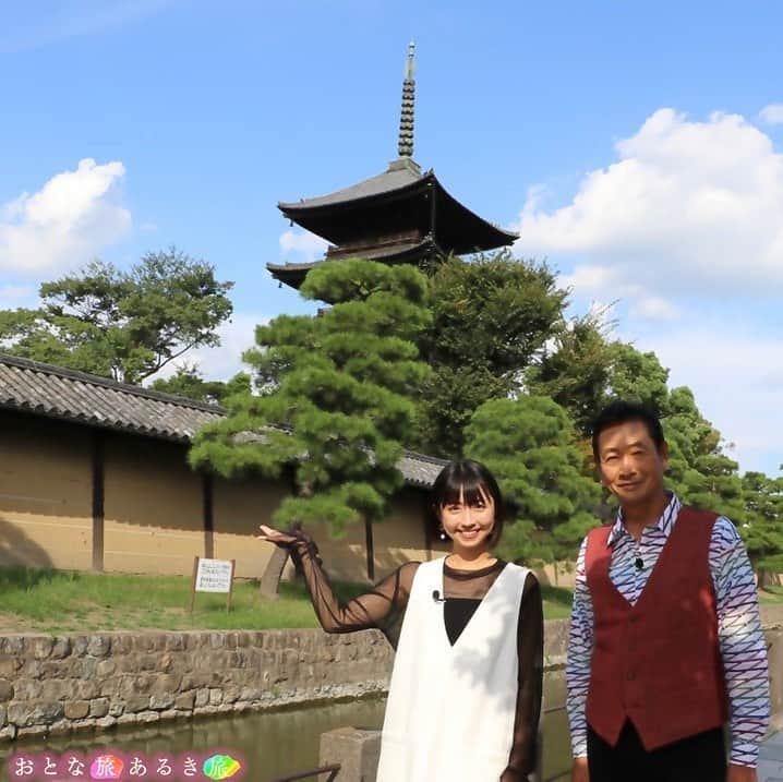 テレビ大阪「おとな旅あるき旅」さんのインスタグラム写真 - (テレビ大阪「おとな旅あるき旅」Instagram)「.  -------------------------------------------  🟠#おとな旅あるき旅 🟠#テレビ大阪（7ch） 🟠京都の下町人情とうまいもん 🟠#三田村邦彦  #小塚舞子 🟠10月14日（土）18:30  -------------------------------------------  今回は、世界遺産・東寺と人情あふれる下町の名店めぐり！  超貴重！今しか見られないお堂や寺宝など 東寺の全てを大公開！  新食感のおはぎに 超濃厚どろっどろラーメン🍜 女将が作るおばんざいなど 美味しいもんが盛りだくさん！  ぜひご覧ください☺️  -------------------------------------------  #京都 #京都観光 #京都グルメ #京都ランチ #東寺 #教王護国寺 #世界遺産 #味のタテハタ #とことんトリコトコト #おはぎ平乃屋 #あめ久 #光洋軒 #おばんざい」10月13日 18時42分 - tvo.otonatabi