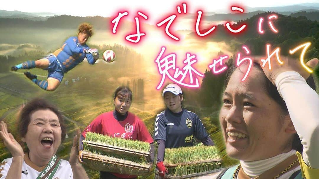 大角怜司のインスタグラム：「【番組のお知らせ⚽️🌾】  ディレクターとして番組制作に携わらせてもらいました！！  十日町市を拠点に活動する女子サッカーの実業団チーム「ＦＣ越後妻有」に密着したドキュメンタリー番組  【テレメンタリー　なでしこに魅せられて】を放送！！  選手たちは、過疎高齢化により棚田の担い手不足に悩む 集落に移住し、コメ作りをしながらサッカーに奮闘！⚽️  チームを支えるのは地元の住民たち。 選手を「集落の宝」と話し、野菜を差し入れたり、 グラウンド整備したり選手を孫のように応援しています🤝  番組では、そんな選手と住民の心の交流を追いました！  テレメンタリー2023「なでしこに魅せられて」 県内はあす5時20分放送です！！！！！  #FC越後妻有 #女子サッカー #サッカー#農業 #テレメンタリー2023 #なでしこに魅せられて #初めての特番制作 #ぜひご覧ください😊」