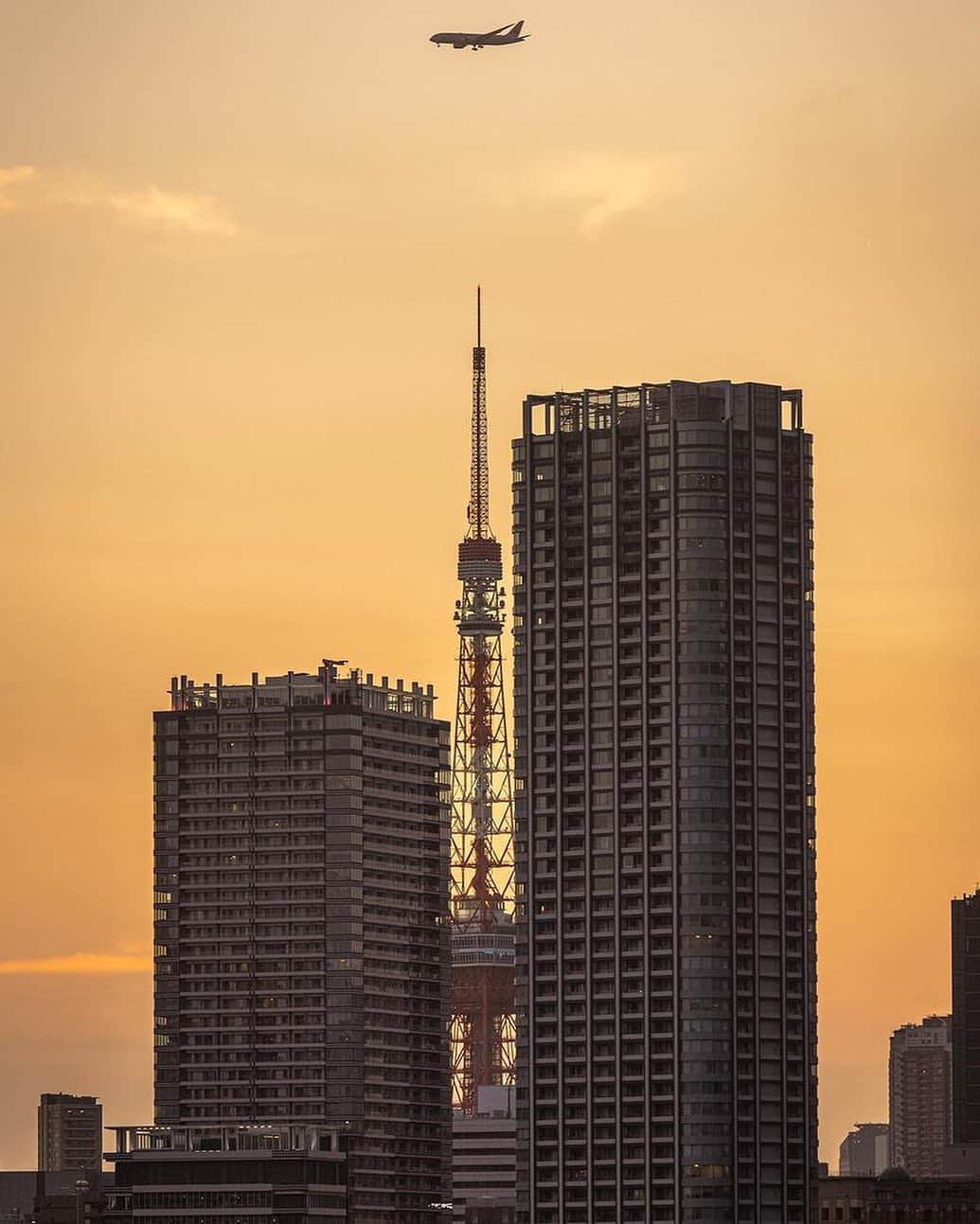 東京タワーさんのインスタグラム写真 - (東京タワーInstagram)「. 空が夕焼けに染まりきるまでの 僅かな時間。   まだライトアップしていない 日没前の東京タワーが、 ビルの隙間から顔を覗かせ、 真上には羽田に向かう飛行機✈️   整った構図が美しい一枚ですね✨   本日は、Your Tokyo Tower🗼から @r5_1013.sugi さんのお写真をご紹介。   素敵なお写真をありがとうございました😊    --------------------------------  【 お知らせ 】  ■ Your Tokyo Tower 🗼  # your_tokyotowerで あなたの東京タワーをリポスト！  @tokyotower_official の タグ付けをしてくれると見つけやすいよ！  皆様からの投稿 どしどしお待ちしております！  ■ 公式LINE  東京タワー公式LINEでは 東京タワーのイベント情報を お届けしています！  詳細はプロフィールにあるリンクから↓ @tokyotower_official  --------------------------------  #東京タワー #東京タワー🗼  #tokyotower #tokyotower🗼  #夕焼け #夕日 #サンセット #sunset」10月13日 18時58分 - tokyotower_official