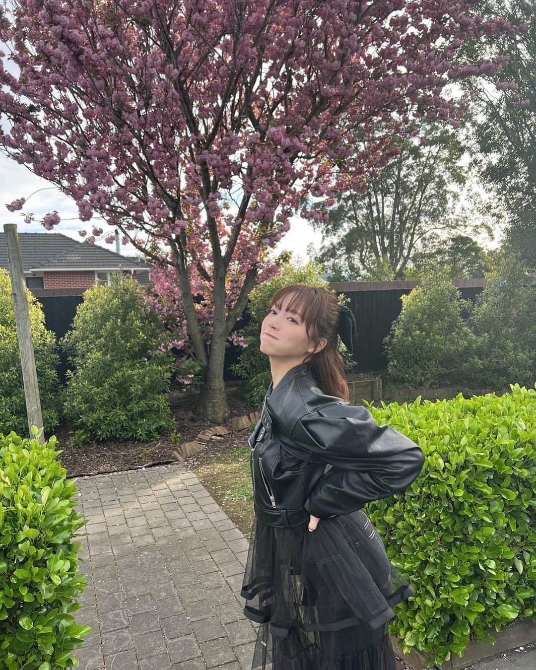 のインスタグラム：「→ ニュージーランドは春です🌷 今日も楽しい1日でした~！ 明日は#japanfiestaex  ⁡ #newzealand#NZ#ニュージーランド」