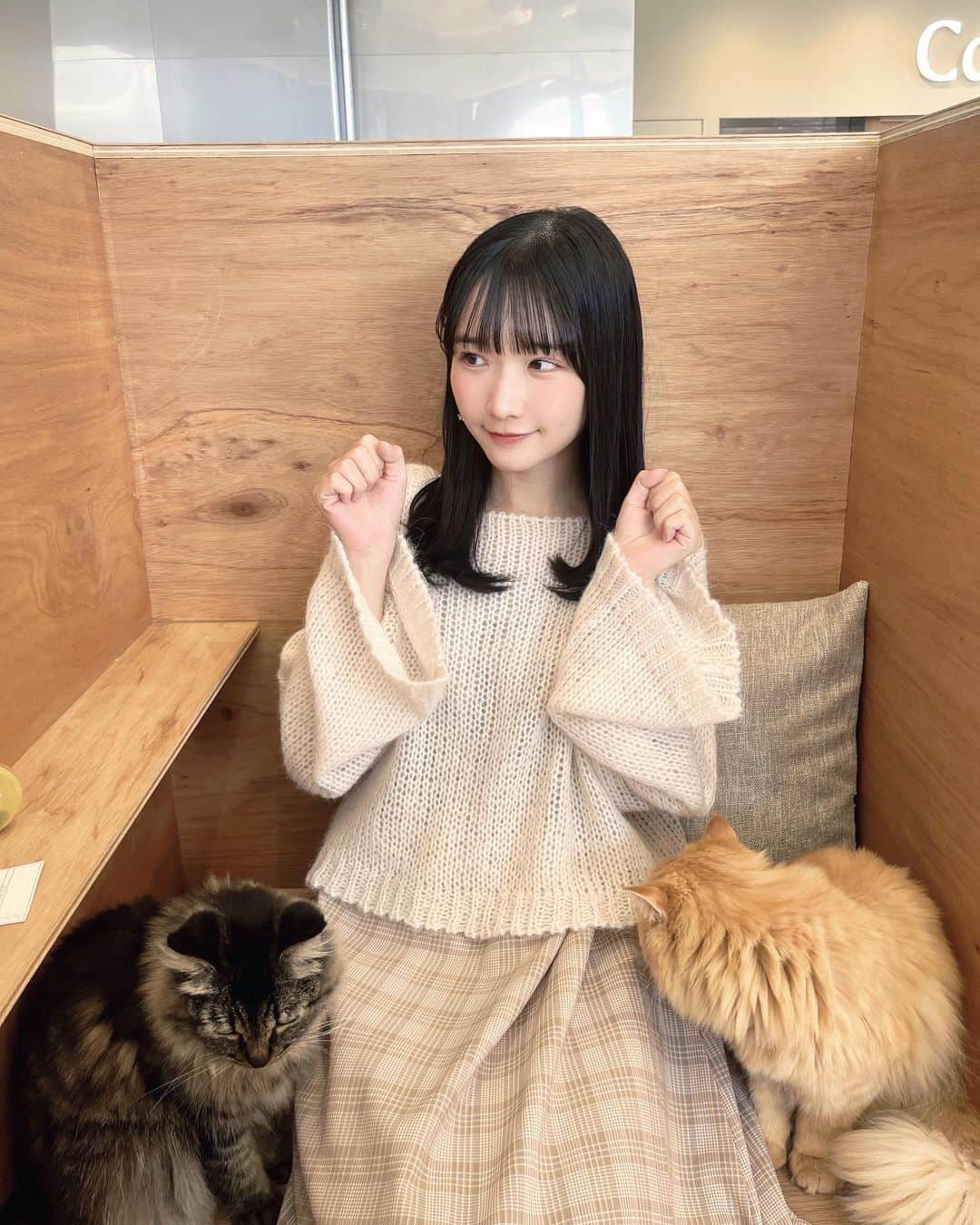 高雄さやかのインスタグラム：「カフェ𓂃𓈒𓏸  @moff_shimint_hiroshima ♡⃜  ひろしまゲートパークにある猫カフェ🐈 いついってもねこちゃんが 構ってくれてかわいい。  洋服は @wclosetwearsinc ♡  …」