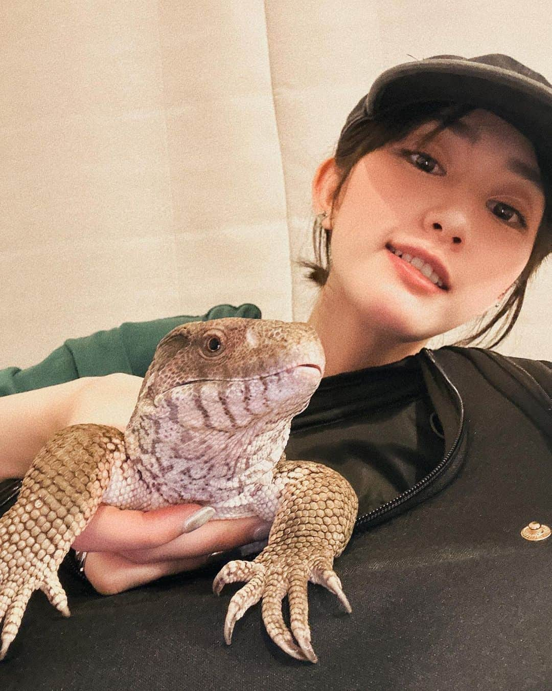 黒田瑞貴さんのインスタグラム写真 - (黒田瑞貴Instagram)「最近のぐぅさんツーショットまとめ🦎  #petlife #petlizard #pets #savannamonitor #varanusexanthematicus #爬虫類　#爬虫類女子 #爬虫類好き」10月13日 19時54分 - kurodamizuki_