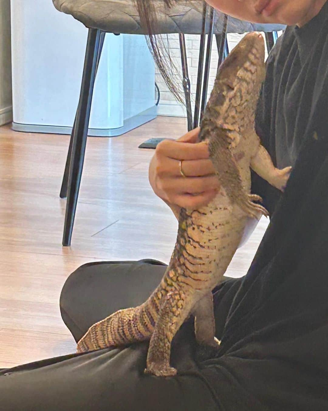 黒田瑞貴さんのインスタグラム写真 - (黒田瑞貴Instagram)「最近のぐぅさんツーショットまとめ🦎  #petlife #petlizard #pets #savannamonitor #varanusexanthematicus #爬虫類　#爬虫類女子 #爬虫類好き」10月13日 19時54分 - kurodamizuki_