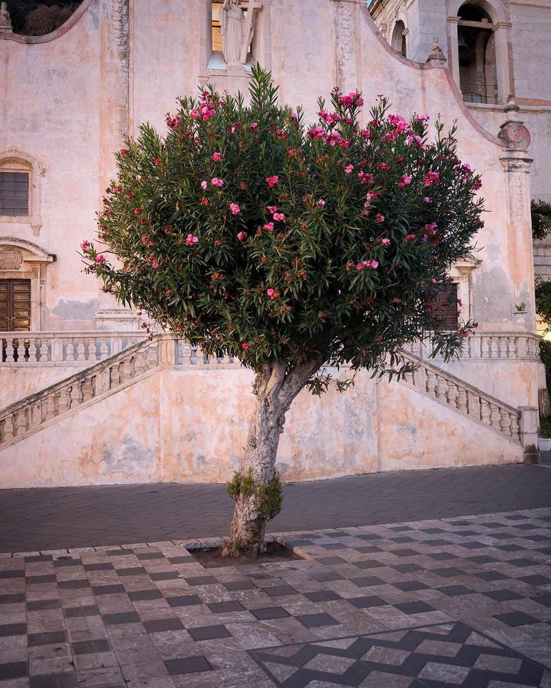 Magnum Photosのインスタグラム：「In partnership with @belmond, a new show, Sicily As Seen By @gregoryhalpern, opens at the Magnum Gallery in Paris from October 19-21 🌺⁠ ⁠ To celebrate the 150th anniversary of the @belmondgrandhoteltimeo in Taormina, Sicily, Belmond commissioned Halpern to travel around Sicily with Daniel Heyden, Belmond's Editorial Director, and capture the beauty and vibrancy of the island's landscape, history and culture.⁠ ⁠ “The pictures reveal my fascination with light, color, flora, and the feeling of the place as a complicated, raw and beautiful land,” says Halpern. ⁠ ⁠ A selection of 20 photographs from Halpern's journey with Belmond will be on show. ⁠ ⁠ 🔗 For gallery opening times, tap the link in the @magnumphotos bio. ⁠ ⁠ © @gregoryhalpern / Magnum Photos」