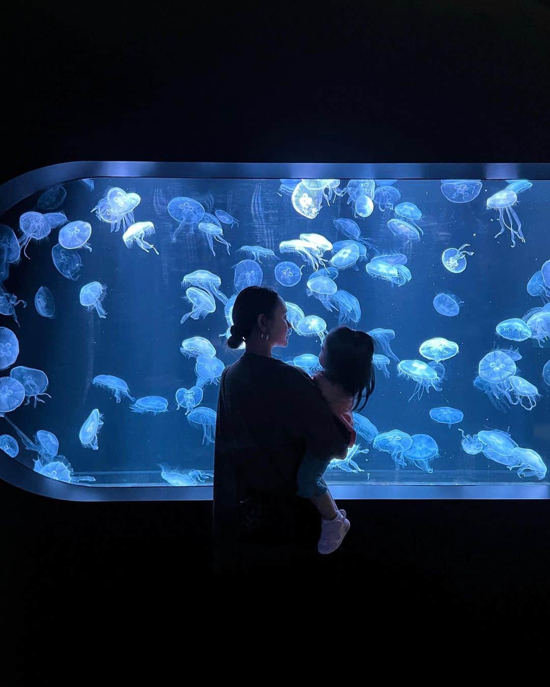 Rika Sasaki JPNさんのインスタグラム写真 - (Rika Sasaki JPNInstagram)「初めての水族館🪼🩵 楽しそうだった🥹」10月13日 19時58分 - ymst_rika