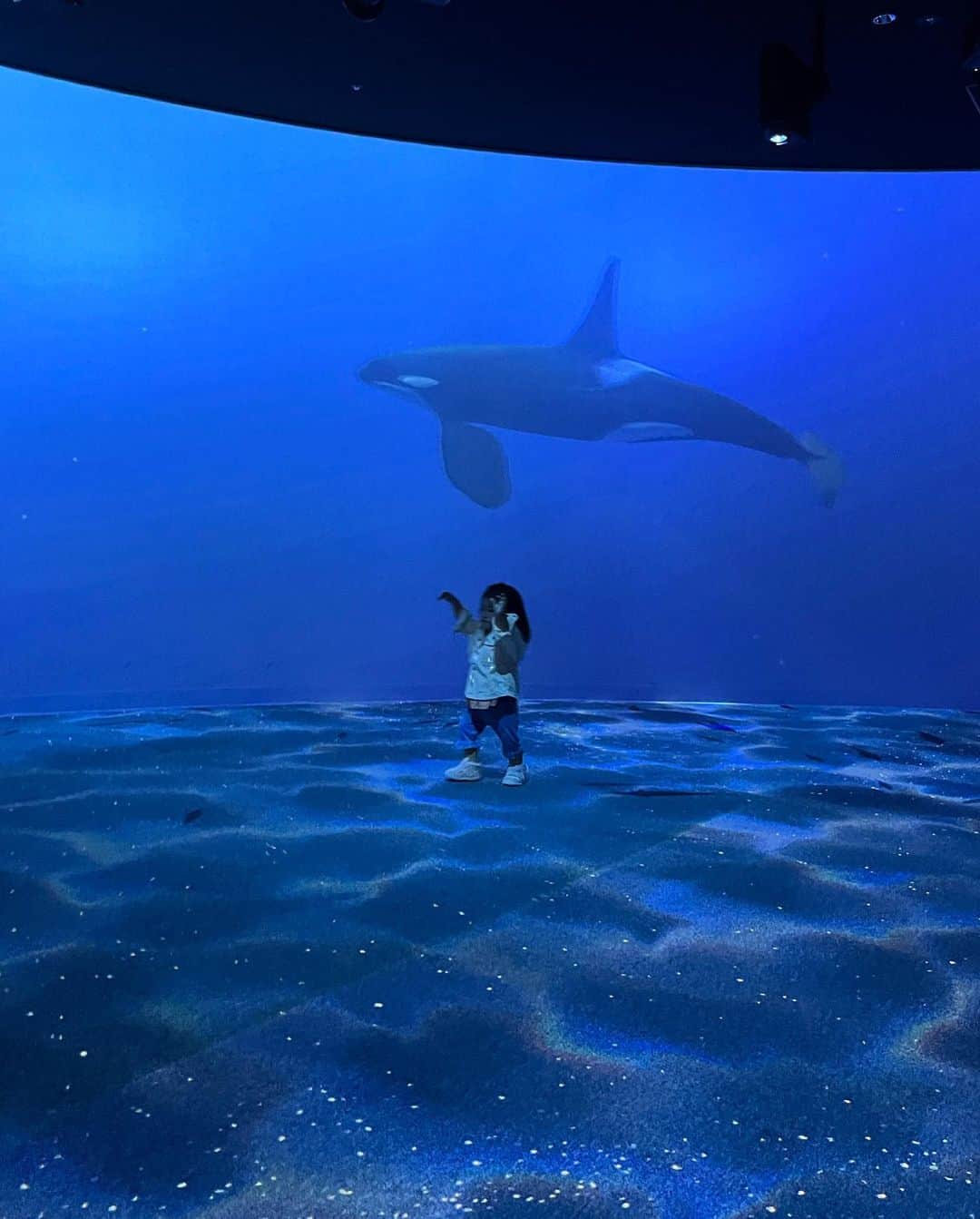 Rika Sasaki JPNさんのインスタグラム写真 - (Rika Sasaki JPNInstagram)「初めての水族館🪼🩵 楽しそうだった🥹」10月13日 19時58分 - ymst_rika