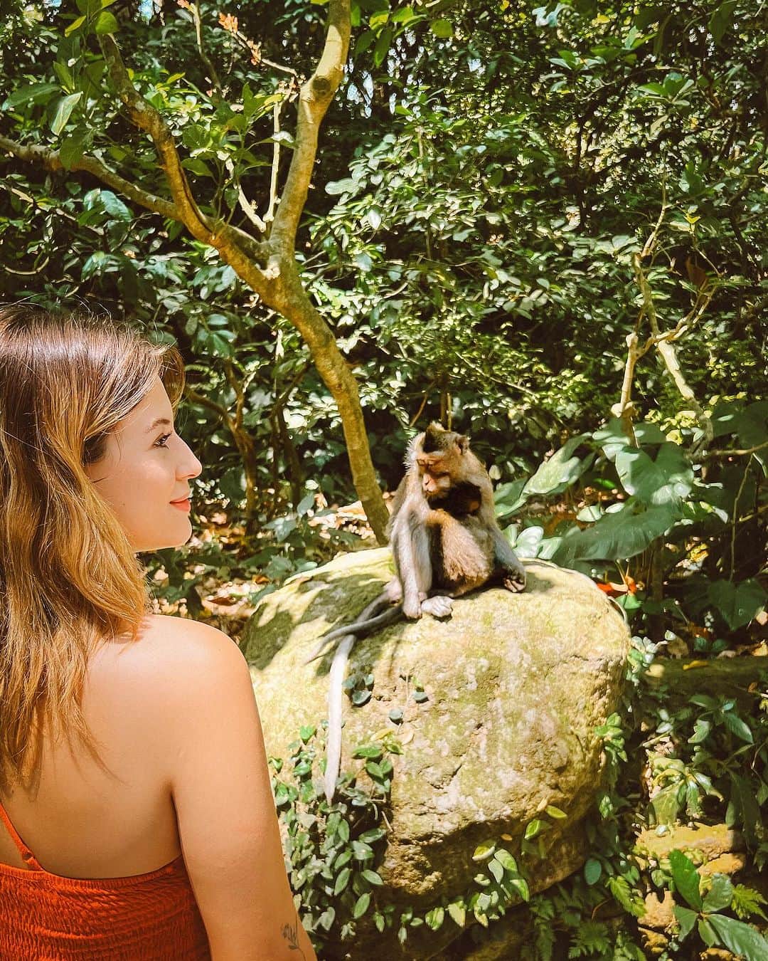 ニーナさんのインスタグラム写真 - (ニーナInstagram)「macaquinhos 🐵♥️ são mais de 1200 na Monkey Forest em Ubud e eles são considerados sagrados pelos locais!」10月13日 20時03分 - niinasecrets