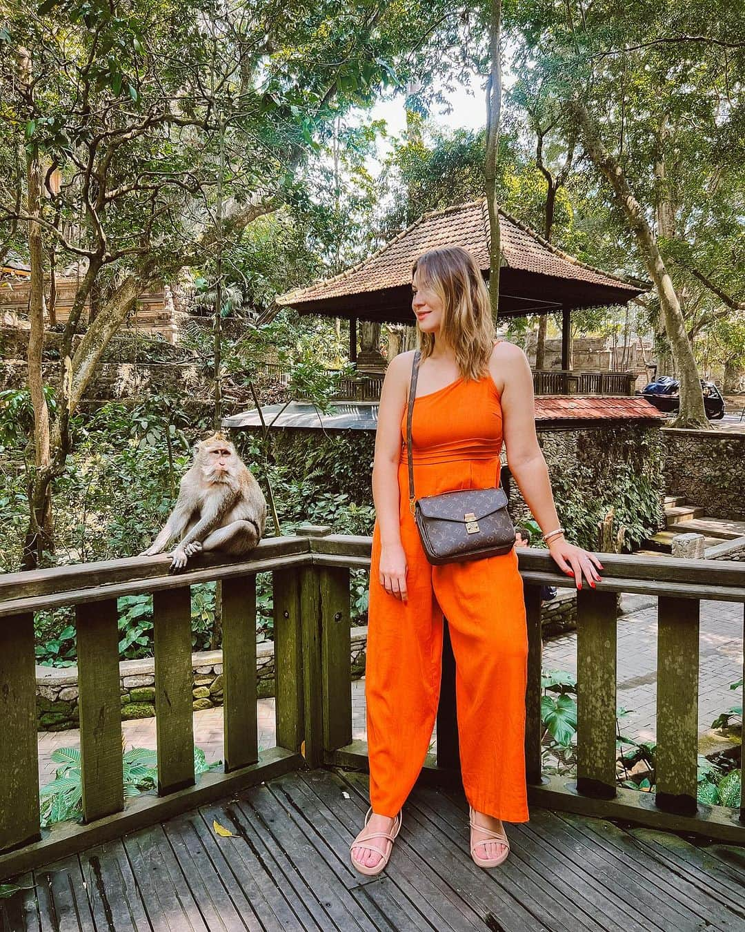 ニーナのインスタグラム：「macaquinhos 🐵♥️ são mais de 1200 na Monkey Forest em Ubud e eles são considerados sagrados pelos locais!」