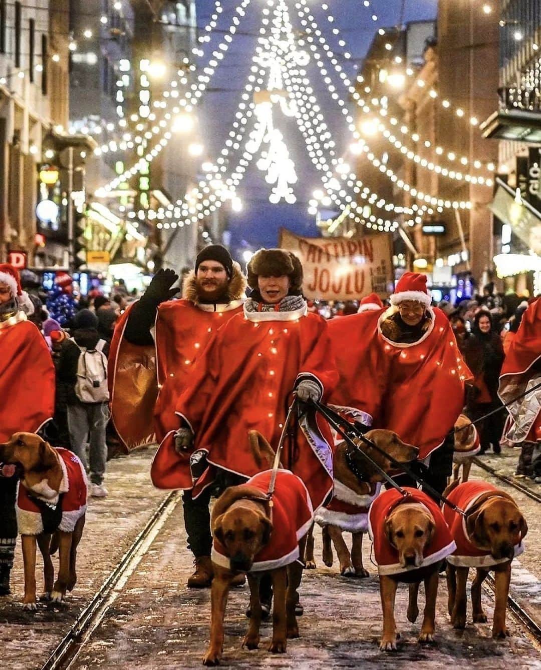 フィンランド政府観光局さんのインスタグラム写真 - (フィンランド政府観光局Instagram)「🎇✨🎄フィンランドではそろそろあちこちからクリスマスの話題が聞こえてくるようになりました。ヘルシンキのクリスマスシーズンを告げるクリスマスパレードは11月18日に予定されています。同時にクリスマスイルミネーションも点灯され、温かい光が冬の街を明るく照らすようになります。今から楽しみですね～。❤️ ． 📸 @antsvahter Kiitos! 🙏 #visitfinland #ourfinland #visitfinlandjp #finland #北欧旅行 #travelgram #フィンランド #フィンランド政府観光局 #北欧 #travel #instatravel #travel #travelgram #travelling #traveler #旅したくなるフォト #旅行 #旅 #海外旅行 #travelphotography #旅行大好き #旅行好き #旅スタグラム #旅好き #ヨーロッパ旅行 #旅に出たい #トラベル  #myhelsinki #ヘルシンキ #クリスマス」10月13日 20時10分 - visitfinlandjapan