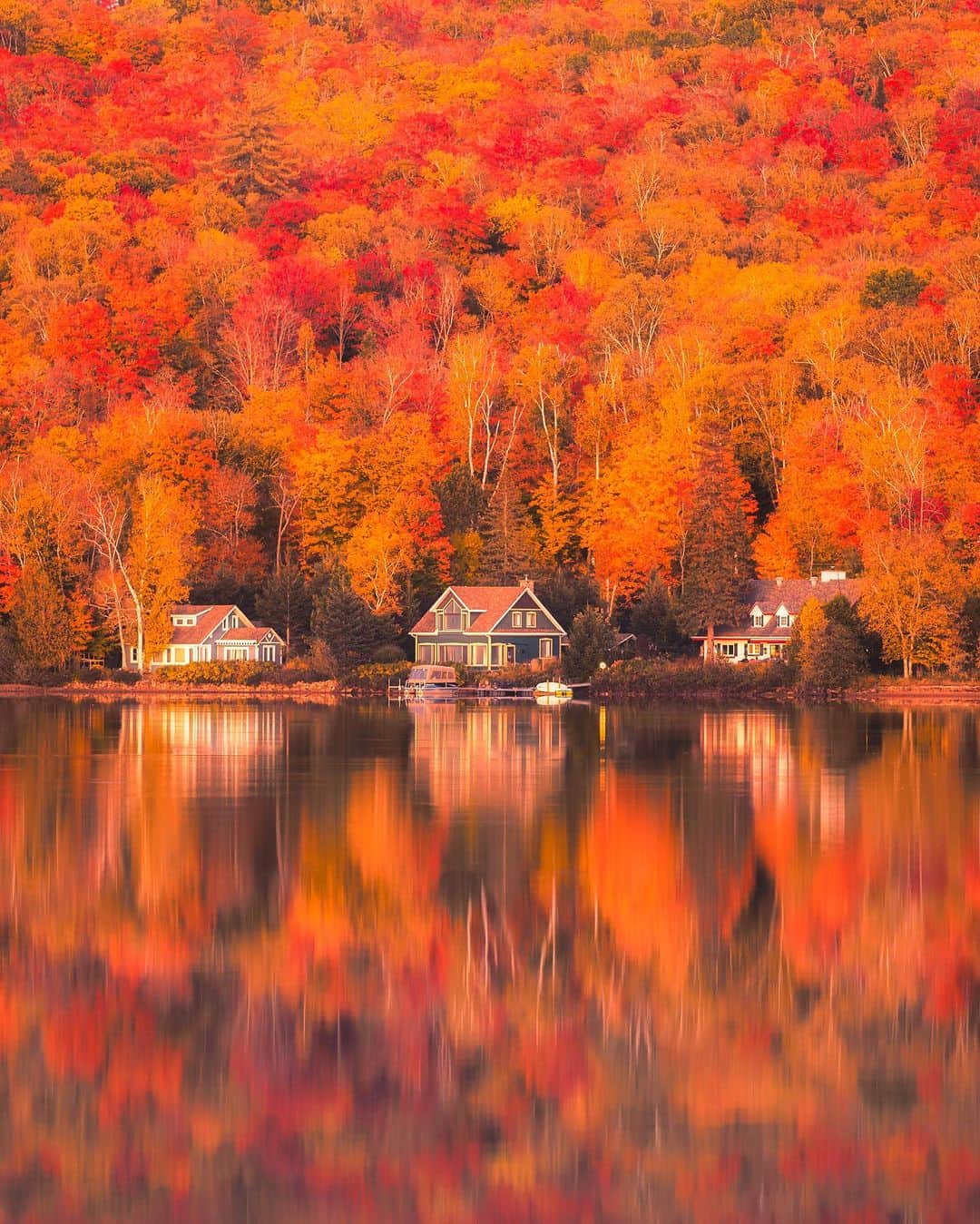 botanist officialのインスタグラム：「ここは、カナダのケベック州・モン＝トランブランの湖のほとり。 季節が秋へと移り変わるこの時期、メープル（カエデ）が鮮やかな赤に染まり始めます。  国旗にも使用されるなど、カナダを象徴する植物として親しまれているメープル🍁 秋が近づくにつれて、国内各地に群生するメープルが紅葉し、美しい景観をつくり出します。 中でも有名なのが、ケベックシティとナイアガラを結ぶ「メープル街道」。 全長約800kmにも及ぶ街道に沿ってメープルが立ち並ぶことから、この名前が付きました。  モン＝トランブランは、メープル街道の中でもっとも高い標高に位置するリゾート地。 木々が燃えているのではないかと錯覚するほどの迫力に満ちた紅葉を一目見ようと、見頃の時期には世界各国からの観光客が後を絶ちません。  高く澄んだ空が秋の始まりを感じさせる今日この頃。 植物たちの表情の変化を、どうぞお楽しみください♪  Thank you!：@juanrojaspaez  ✔︎ 当アカウントでは、植物と共に生きる「ボタニカルライフスタイル」を豊かにするため、四季折々の自然の景色や、植物の魅力が溢れるボタニカルスポットを紹介しています。  ✔︎ 植物がもたらす美しい景色のお写真に #絶景ボタニカル を付けて投稿していただくと、当アカウントでご紹介させていただくことがございます。  #絶景ボタニカル #BOTANIST #ボタニスト #botanicalbeauty」