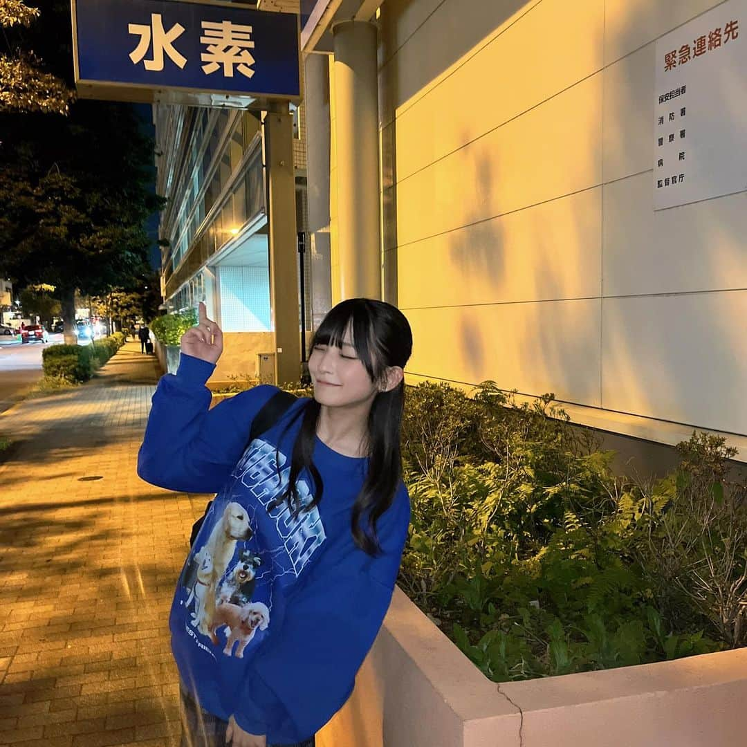 永田詩央里さんのインスタグラム写真 - (永田詩央里Instagram)「犬ちゃんスウェット🐕」10月13日 21時01分 - nagata__shiori