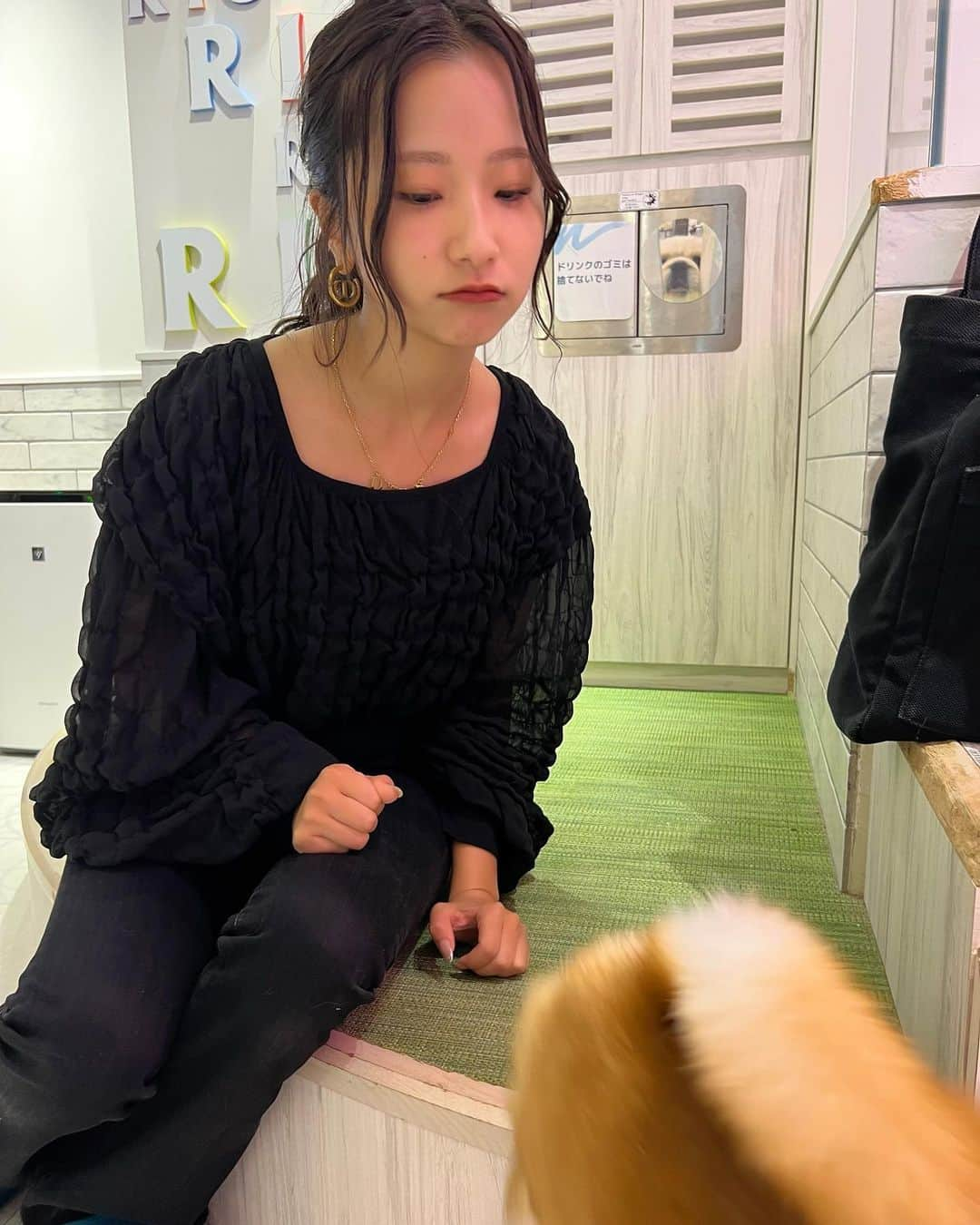 なーちゃんさんのインスタグラム写真 - (なーちゃんInstagram)「犬カフェ幸せ空間すぎた🐶🫧 推しのシバには懐いてもらえませんでした😕  #かけまる #なーちゃん #犬 #犬カフェ #柴犬 #dog #cafe #原宿」10月13日 21時03分 - natsuki_gun