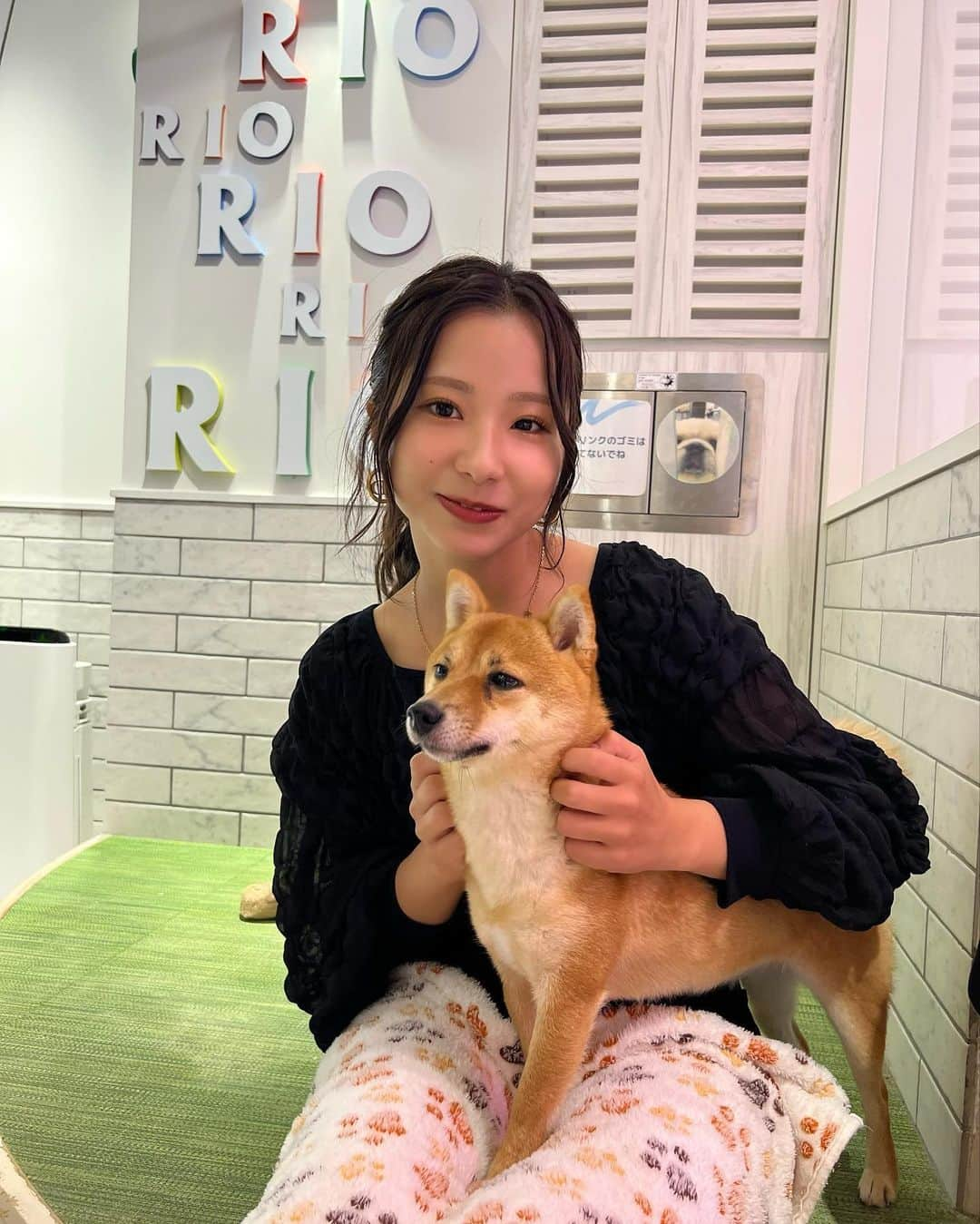 なーちゃんさんのインスタグラム写真 - (なーちゃんInstagram)「犬カフェ幸せ空間すぎた🐶🫧 推しのシバには懐いてもらえませんでした😕  #かけまる #なーちゃん #犬 #犬カフェ #柴犬 #dog #cafe #原宿」10月13日 21時03分 - natsuki_gun