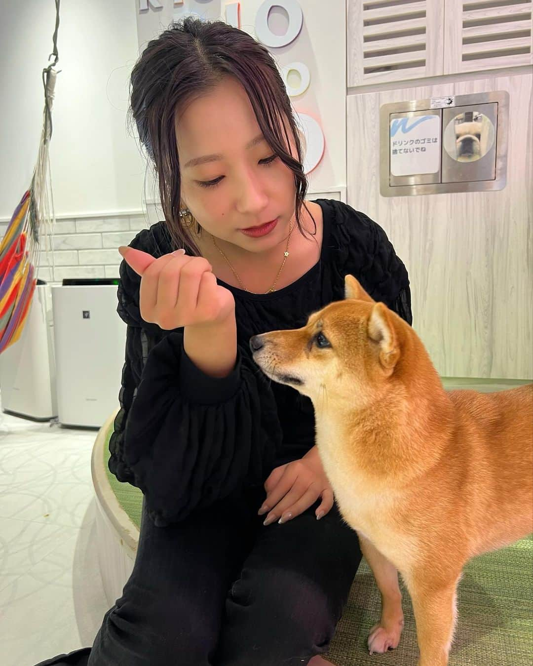 なーちゃんさんのインスタグラム写真 - (なーちゃんInstagram)「犬カフェ幸せ空間すぎた🐶🫧 推しのシバには懐いてもらえませんでした😕  #かけまる #なーちゃん #犬 #犬カフェ #柴犬 #dog #cafe #原宿」10月13日 21時03分 - natsuki_gun