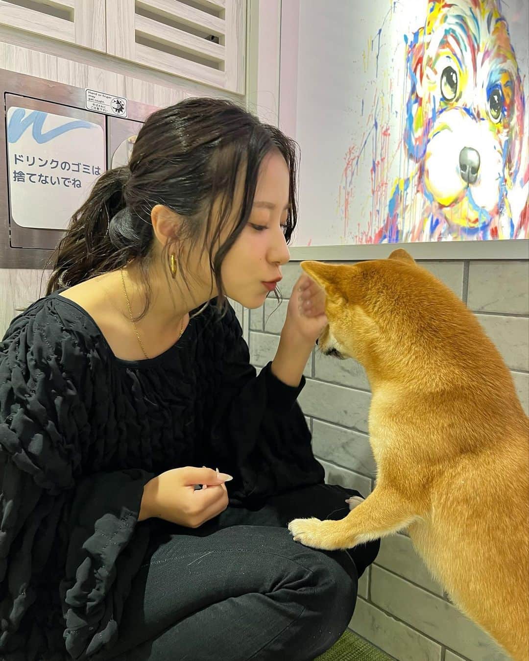 なーちゃんさんのインスタグラム写真 - (なーちゃんInstagram)「犬カフェ幸せ空間すぎた🐶🫧 推しのシバには懐いてもらえませんでした😕  #かけまる #なーちゃん #犬 #犬カフェ #柴犬 #dog #cafe #原宿」10月13日 21時03分 - natsuki_gun