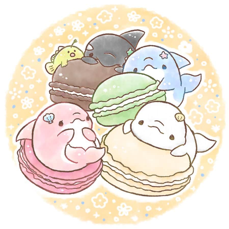 みいるかのインスタグラム