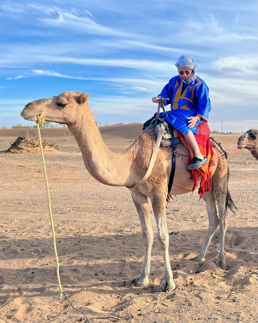 出井直助さんのインスタグラム写真 - (出井直助Instagram)「. 🇲🇦モロッコ旅行記・感想🇲🇦  夏季休暇頂きありがとうございました！ 昨日よりサロンワークに戻っておりますので、 引き続きよろしくお願い致します！  今回は改めて、モロッコ旅行で感じたことを 書かせて頂きたいと思います✍️  今回のモロッコで、 海外旅行は11ヶ国目でした。  今回モロッコにした理由は凄く単純で、 4〜5年くらい前に、何かの雑誌で【シャウエン】を見て、 青い街がすごく綺麗で、いつか行きたい！ と思ったからです。  そのシャウエンを含め、 実際にモロッコに行ってみた率直な感想は、 【凄くいい国だった】 【予想外なことが多かった】と感じました。  主に3つの場所に行ったのですが、  行くのが夢だった、 【シャウエン】はとても美しく、 街中が朝も夜も青一色で、街を散歩するだけで、 癒されるような空間でした🔵  世界遺産になっている【フェズ】は、 まさに迷宮といえるような街で、 モロッコの文化を感じることができたり、 様々な職人さんにで会うことができ、 たくさんの刺激をもらいました🏰  特に今回は衝撃だったのは、 【サハラ砂漠】でした🏜 砂漠のイメージは正直、 何もなく一面砂漠のような場所かと思っていたのですが、 予想とは大きく異なっていました。  様々な野菜が栽培されている畑があったり、 オシャレなキャンプエリアがあったり、 プールがあるホテルがあったり、  何もないどころか、凄く楽しい場所でした。 モロッコの一番の観光地はサハラ砂漠だったと 今では思っています！  現地の方に聞いたところ10年くらい前から モロッコは国として、かなり発展し始めたらしいです。  治安のあまり良くない地域の整備や、 砂漠の発展に力を入れ、  今ではとても治安も良く、観光スポットも多く、 本当に素晴らしい経験のできる国でした！  これだから海外旅行はやめられません。  海外に行くことで、 自分の知らない世界を感じることで、 人間としての幅が広がり成長に繋がると思っているので、 これからも様々な国にチャレンジしていきたいと思います。  この経験を胸に、美容師としても、 より一層進化していきたいと思いますので、 これからも何卒よろしくお願い致します！！！  OCEANTOKYO WEST出井直助 #モロッコ #サハラ砂漠 #シャウエン #フェズ #海外旅行 #ヴィヴァン #vivant  #morocco #moroccotravel #fez #saharadesert #desert #camel #camelride #chefchaouen #chaouen #bluecity」10月13日 21時41分 - ocean_naosuke