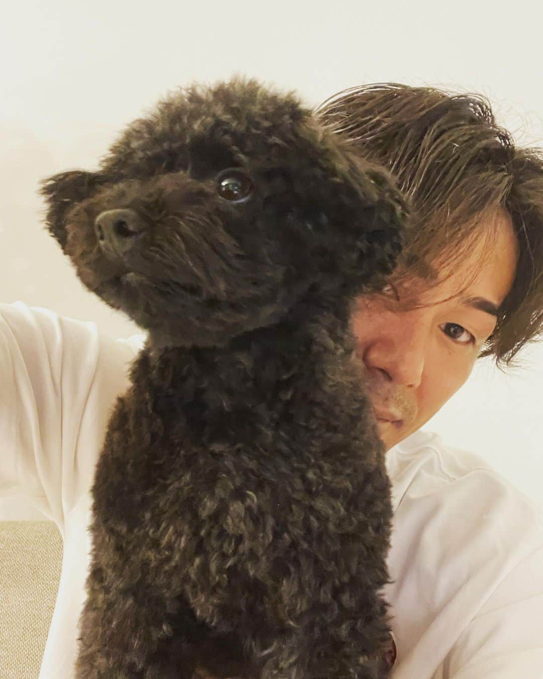 立岡宗一郎さんのインスタグラム写真 - (立岡宗一郎Instagram)「トリミング後の殿と😊  カメラ向けられるのは嫌いです🥲  #犬のいる暮らし  #いぬすたぐらむ  #トイプードル  #タイニープードル  #黒プー  #犬バカ部」10月13日 21時45分 - ta_pi_39