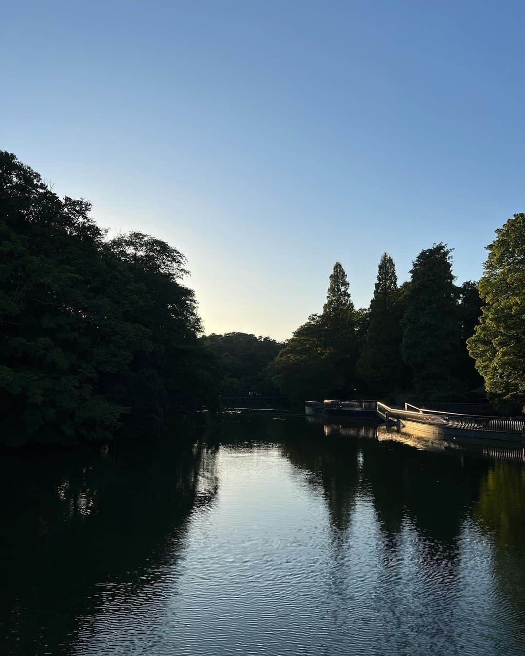 福井姫奈のインスタグラム：「🍃」