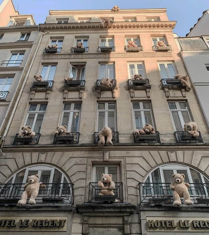 のインスタグラム：「teddy bear invasion😍」