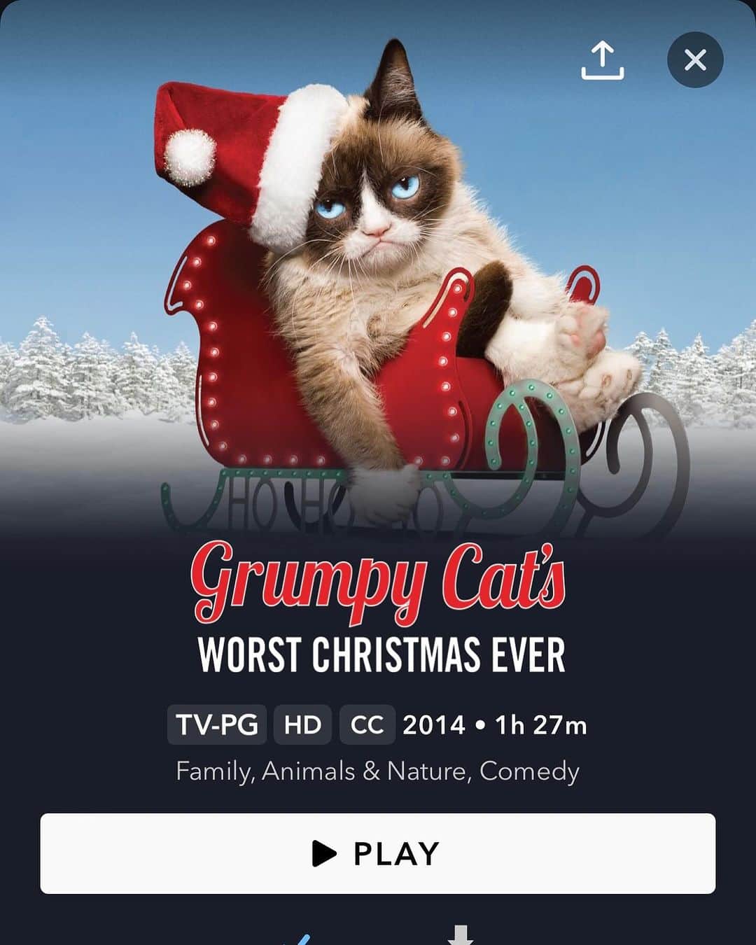 Grumpy Catのインスタグラム：「How to celebrate #FridayThe13th?  It’s your lucky day…  Watch Grumpy Cat’s Worst Christmas Ever on @disneyplus!  Streaming now!🎄😾🎃」