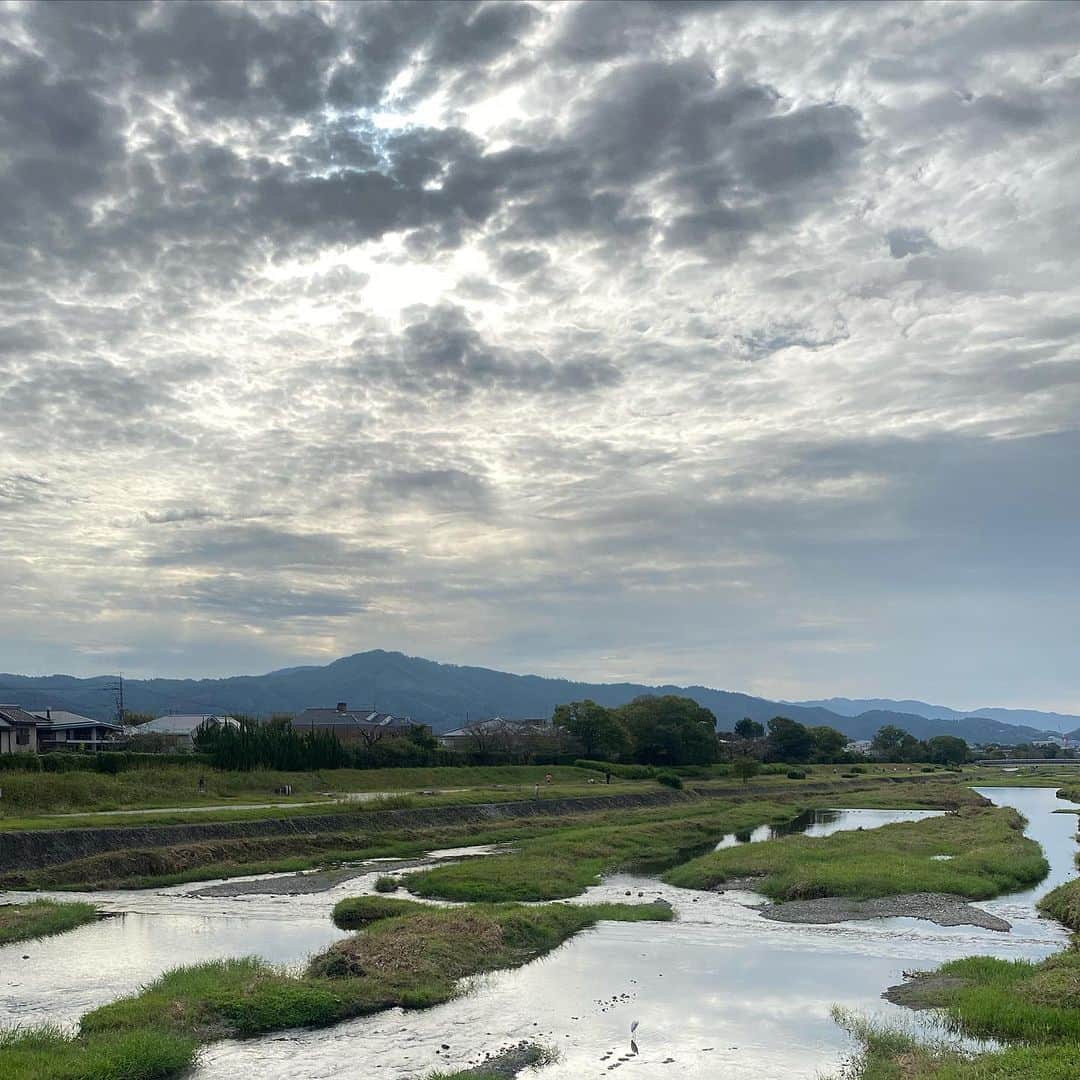 一保堂茶舗さんのインスタグラム写真 - (一保堂茶舗Instagram)「A quiet morning. Feel like drinking matcha.   #kamoriver #kyoto #matcha #teatime #ippodo #ippodotea」10月14日 8時51分 - ippodotea