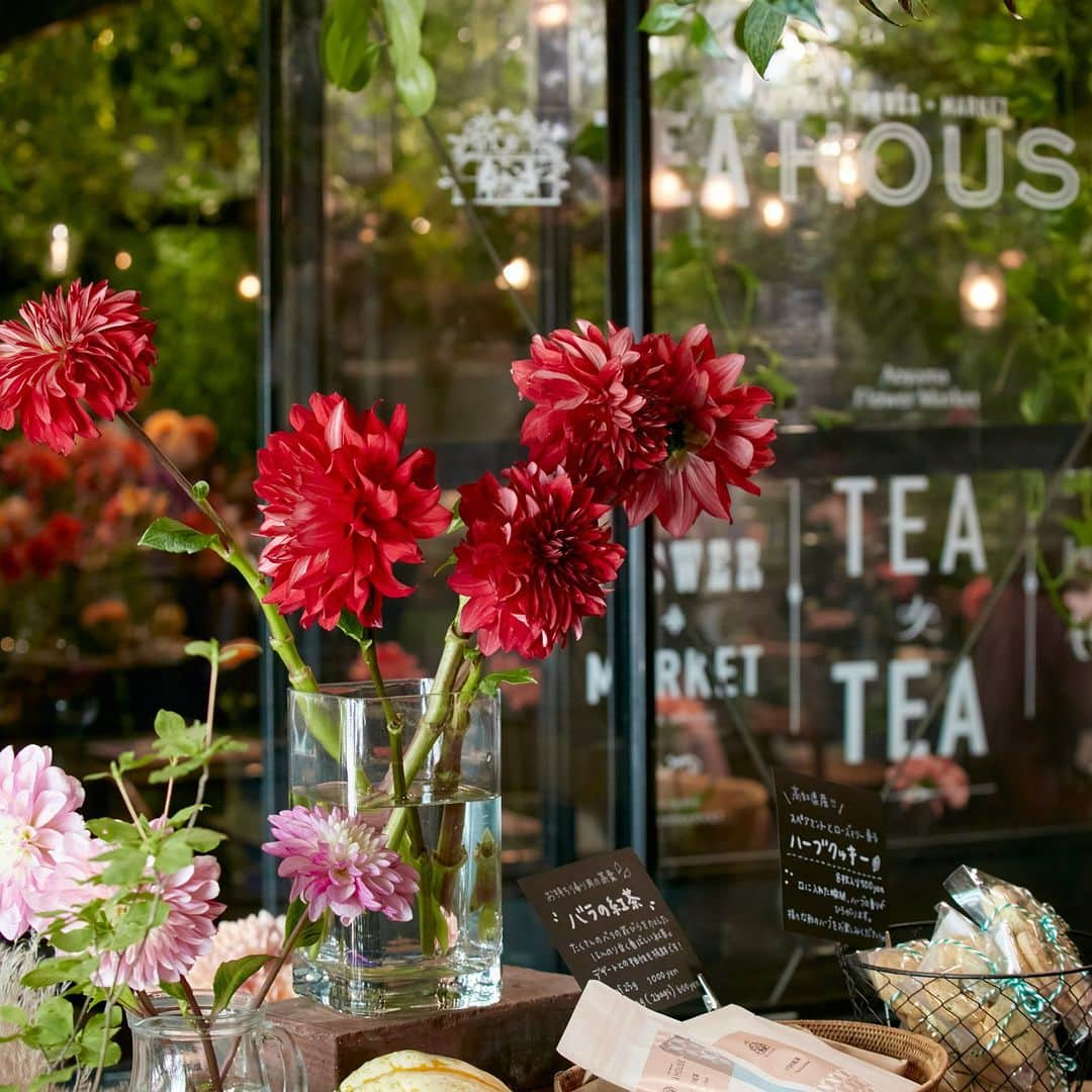 青山フラワーマーケットのインスタグラム：「カフェ グリーンハウスと @aoyamaflowermarket_teahouse  フラワースクール ハナキチでも @aoyamaflowermarket_hanakichi  「ダリア祭り」に合わせて特別イベントを開催。  南青山本店の隣にある カフェ グリーンハウスは 花と緑に囲まれた心豊かな時間と空間を ご提供しているカフェ。  「青山ダリア祭り」開催に合わせて カフェ内にもダリアがいっぱい。  花をあしらった「花かんむりのフレンチトースト」のほか 季節の素材を使った「秋の果実の花かんむり」もご用意しています。  薫り高い紅茶と合わせて、お楽しみください。  フラワースクール　ハナキチでも、 ダリアをはじめ、秋の草花を使った 特別レッスンなどを開催しています。  季節の花のアレンジやブーケを楽しんでみませんか。  #青山フラワーマーケット #青山花祭 #青山ダリア祭り #ダリア #ダリア祭り #フラワーベースギャラリー #セラミチ #ceramichi #セキミチコ #グリーンハウス #ハナキチ #カフェ #花の香り #フレッシュな花の香り #花のある暮らし #花のある日常 #花を楽しむ #花　#青山フラワーマーケット #aoyamaflowermarket」