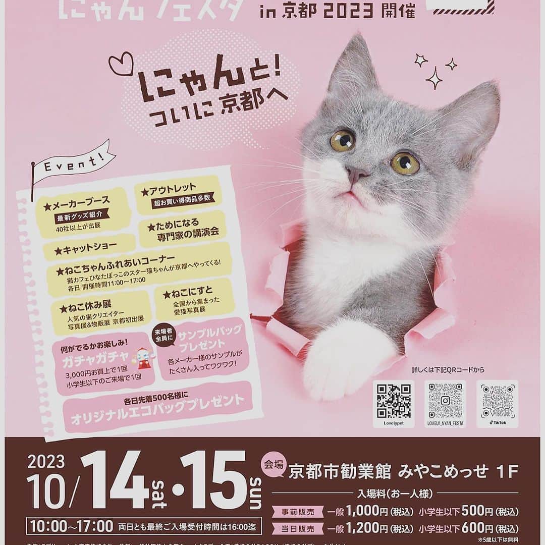 川上麻衣子さんのインスタグラム写真 - (川上麻衣子Instagram)「京都で開催されるラブリーベットイベントに向かっています🐈 今回は猫落語も披露されている月亭遊方さんとネコトークです！ 猫まみれで癒されましょう🐈 お近くの方、お越しをお待ちしています！」10月14日 9時13分 - neko_to_kyo
