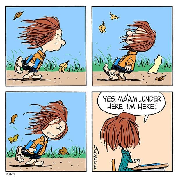 スヌーピーのインスタグラム：「🍁 🍂 🍁」
