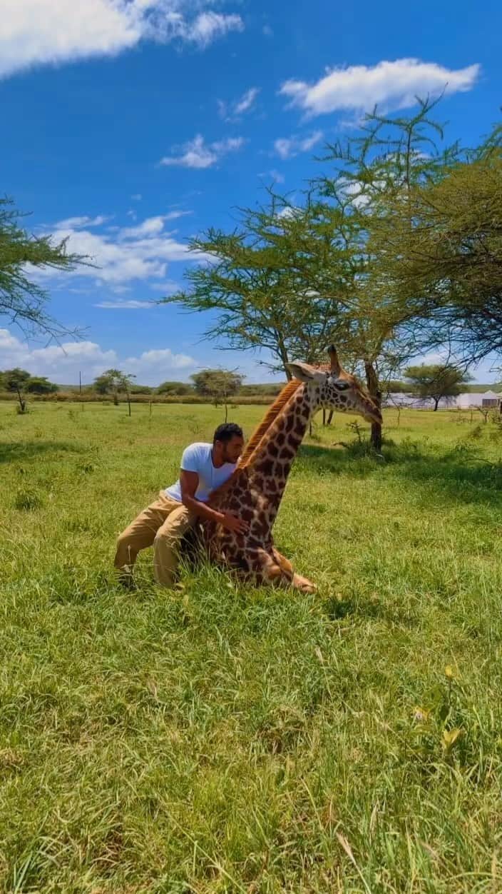 سعودのインスタグラム：「🦒🧡」