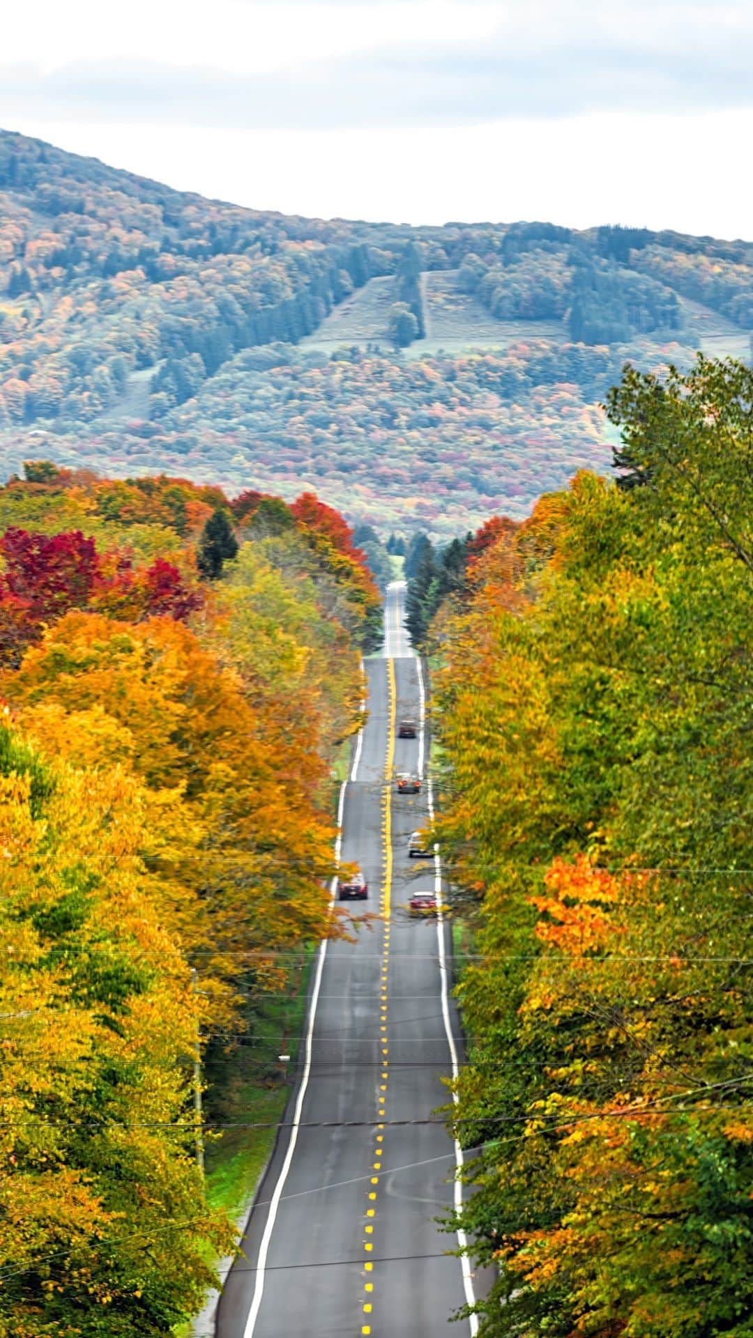 National Geographic Travelのインスタグラム：「Buckle up! These national parks offer some of the best scenic fall drives in the U.S. Take the road less traveled through waves of golden tamaracks, flaming red maples, and fiery orange birches from West Virginia to Arizona.  Video hosted by @starlightwilliams」