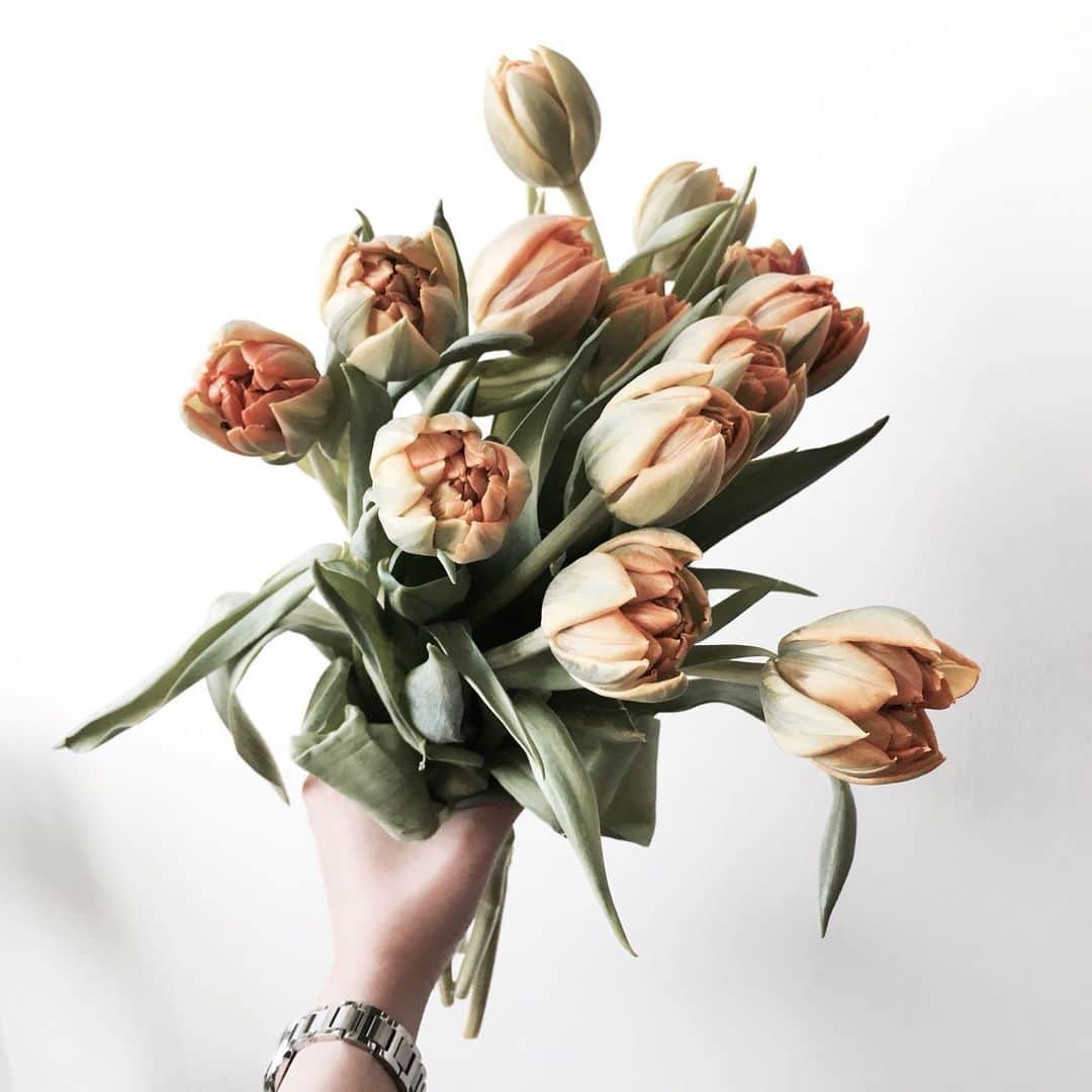 Florist.janeのインスタグラム：「#tulips」