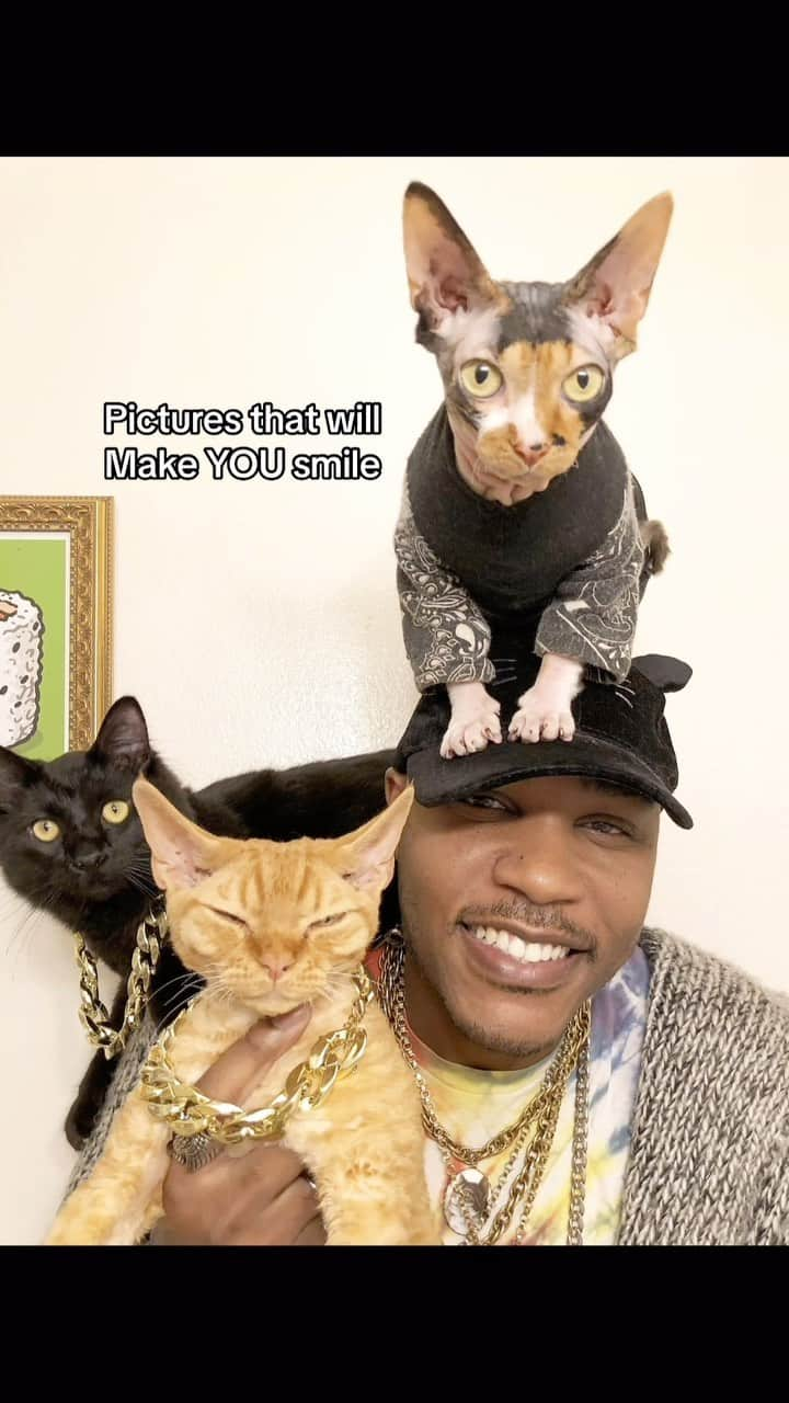 MSHO™(The Cat Rapper) のインスタグラム：「Just wanted to try to put a smile on someones face this weekend. We hope these pictures will find someone and make their day. Take care. Have a great weekend. Let us know if it worked.❤️ #TheCatRapper #CatMan #CatMom #CatDad #MoGang」