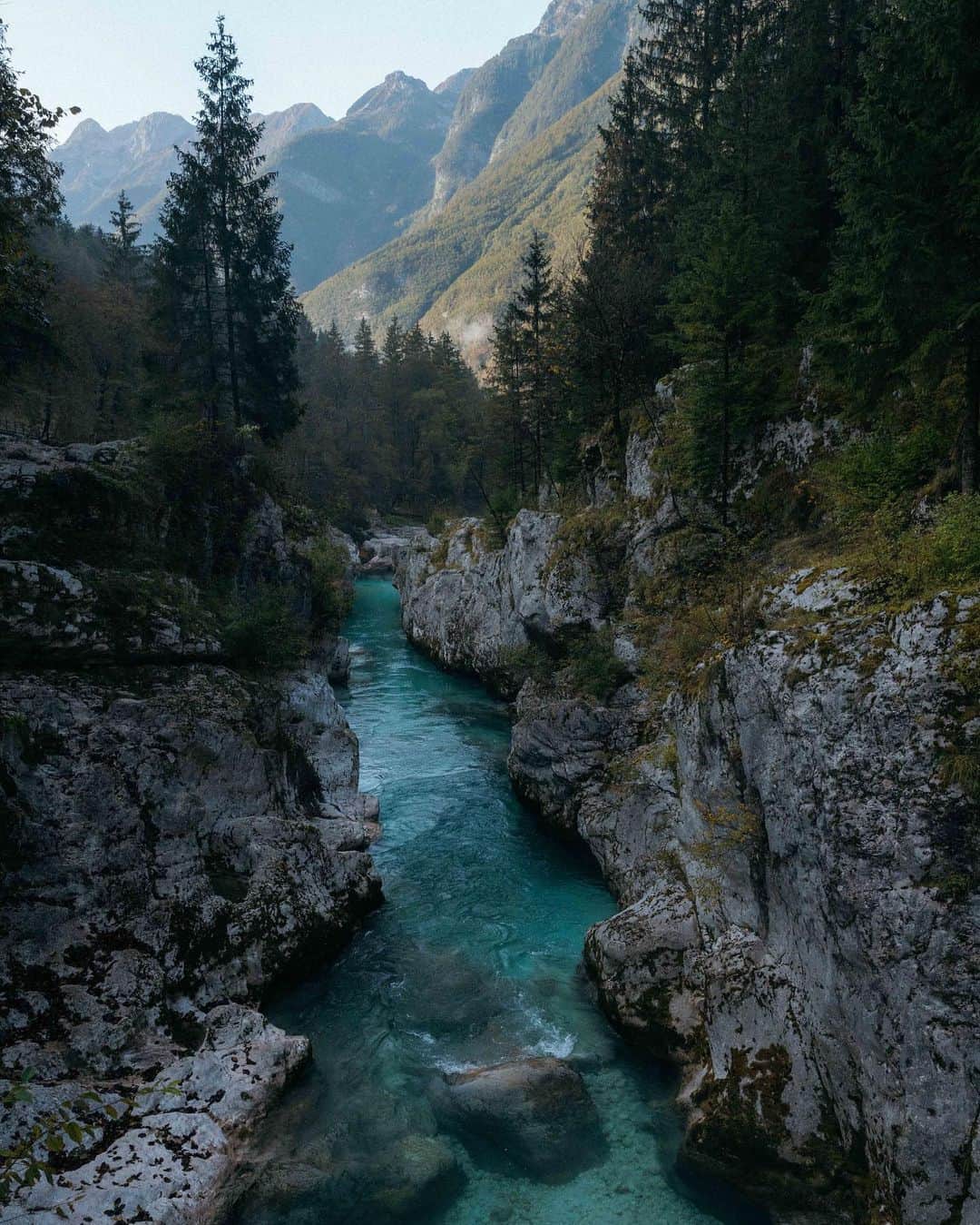 リサンネ・デ・ウィッテさんのインスタグラム写真 - (リサンネ・デ・ウィッテInstagram)「Finally (sorry, it took us a while) sharing the beauty of the Balkans with you. Here’s part 1 of our road trip 🚐🐾  📍Soča Valley, Slovenia 🇸🇮   📸: @danvernonphoto」10月14日 4時40分 - lisannedewitte
