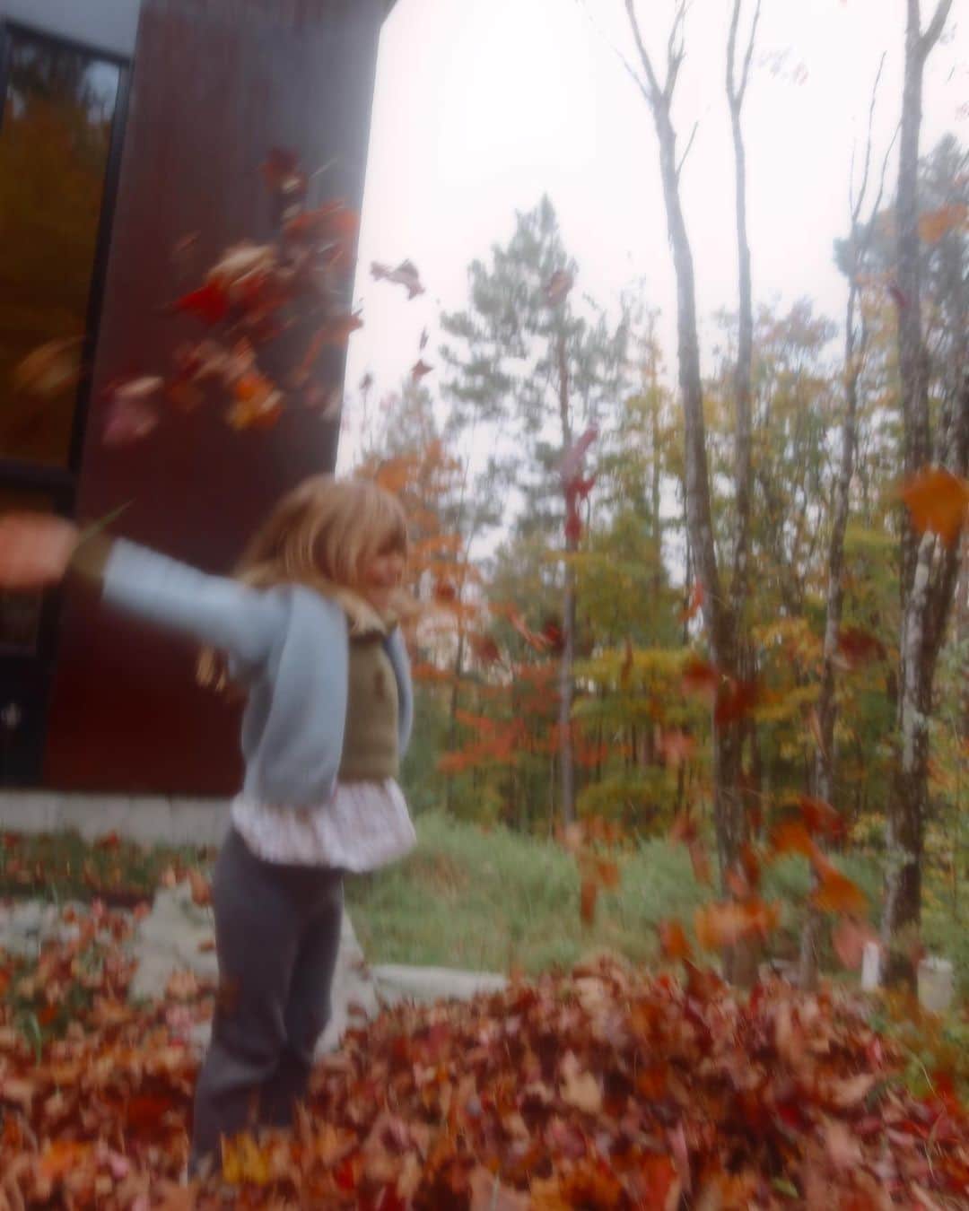 Amber Fillerup Clarkのインスタグラム：「Okay I can’t help it!!!!! Some more fall pics!!! 🍂🍁🍂」