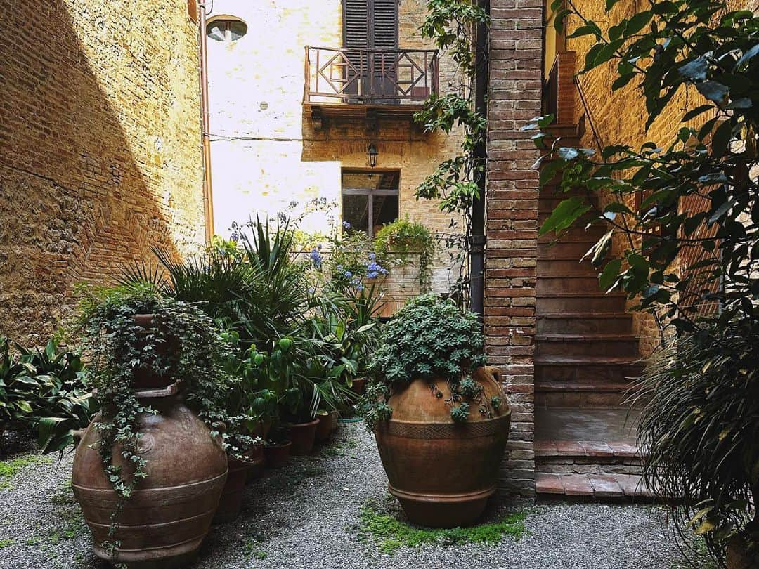 マット・ダラスさんのインスタグラム写真 - (マット・ダラスInstagram)「Shooting a documentary in Tuscany is not a terrible idea」10月14日 6時34分 - mattdallas