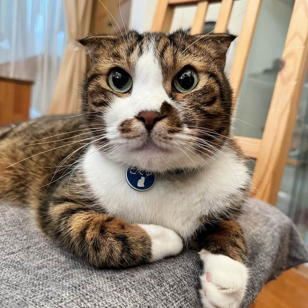 Nahoのインスタグラム