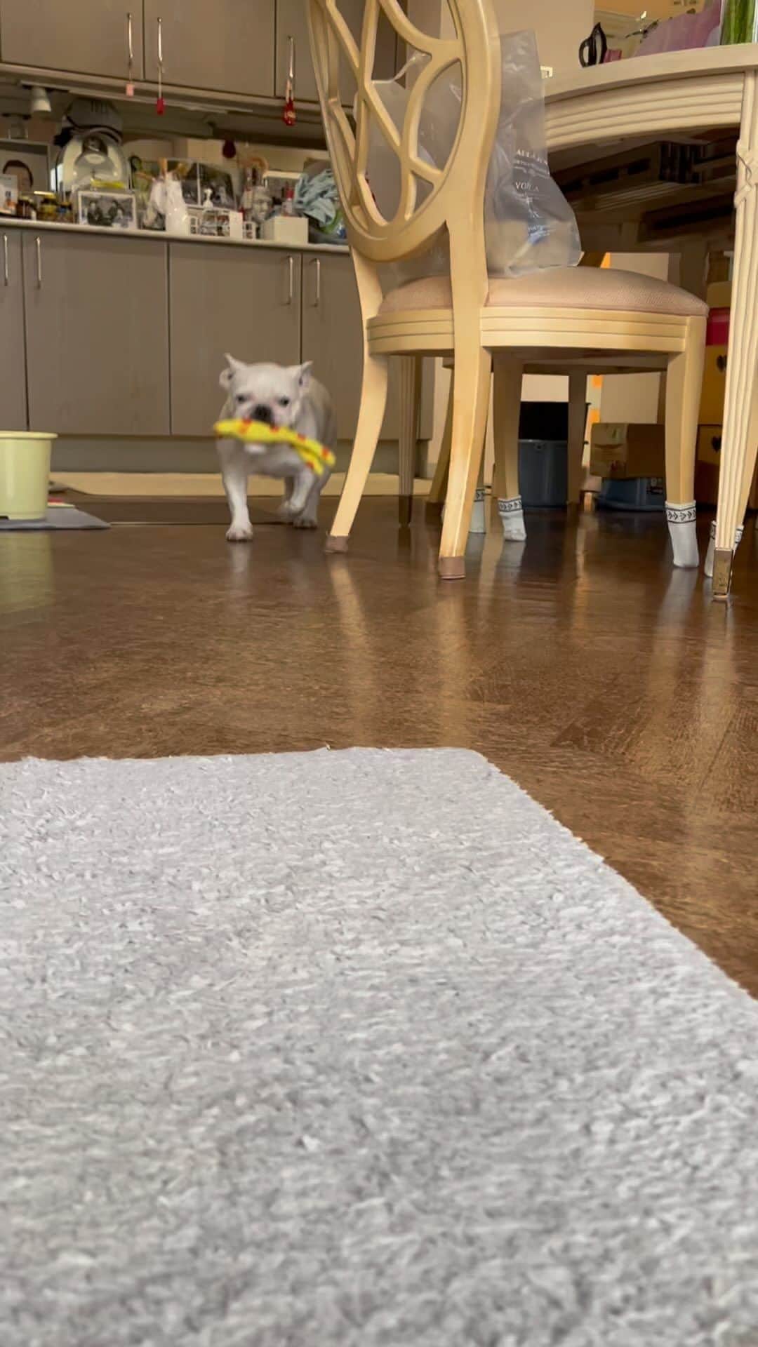 なべやかんのインスタグラム