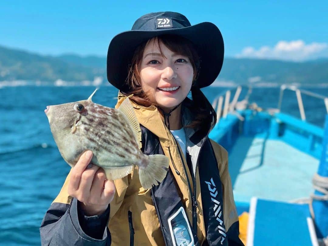 晴山由梨のインスタグラム：「伊東のはるひら丸さんからカワハギ取材！  釣れるカワハギは良型揃いで、 自宅に持ち帰って捌いてみると肝もたっぷり☺️💕  詳細は10/21(土)発売の スポーツ報知 釣り面でレポートしますっっっ📖  #静岡 #伊東 #はるひら丸 #釣り #カワハギ釣り #カワハギ #船釣り #沖釣り #エサ釣り #カワハギの肝 #肝パン #スポーツ報知」