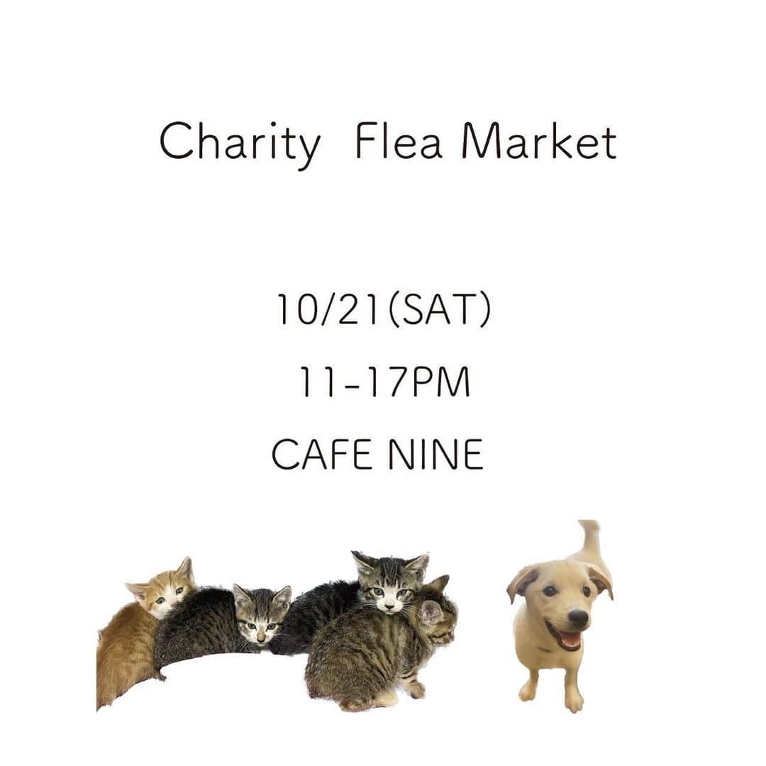 桐山マキのインスタグラム：「. . CHARITY  FLEA  MARKET 🐕‍🦺  来週土曜日です♡  10/21 （土） 11:00-17:00  at @nine9yoyogi  （代々木公園駅から数分）  今回、 @rescue_dog_cat  さんが 病院開設され TNRという活動のご支援ご寄付 （写真3枚目見てください）  と  @save.the.animals385  さんの 門脈シャントという難病の 愛息子さんへの 売り上げの一部を 寄付させて頂きます🐶  参加メンバー @naokotani___  @ponpon_marcy  @m_iiicooo  @blenda0305  @steph_0928_  @aoi_yoshikura  @maki_kiriyama  他  いつもすごーい 沢山のお宝がでますよー🤭  📢 ワンコ同伴可♡ お支払いは現金のみとなります。 エコバッグお持ちください。  沢山のご来場お待ちしてます♡」