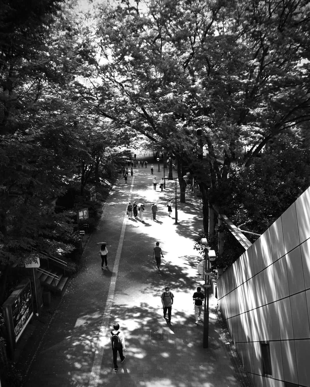 Halさんのインスタグラム写真 - (HalInstagram)「* * End of summer in Shinjuku, Japan  * * #grsnaps #shootgr #gr_meet_japan #grdigital4 #ricohgr  #igersjp  #jp_gallery_member  #team_jp_モノクロ #wp_bnw  #jj_blackwhite #picturetokeep_bnw #pr0ject_bnw #bnw_of_our_world  #bnw_lightandshadow  #fair_noir  #i_c_part #bwモノクロ写真マニア #bnw_quebec #sharaku_photostudio  #rustlord_bnw  #streetphotography_bw  #streetphotography #streetsnap #moments_in_streetlife #igworldclub_street #mystreet_bnw  #ricoh_gr_women #spicollective #scene_description」10月14日 17時57分 - hal_h1010