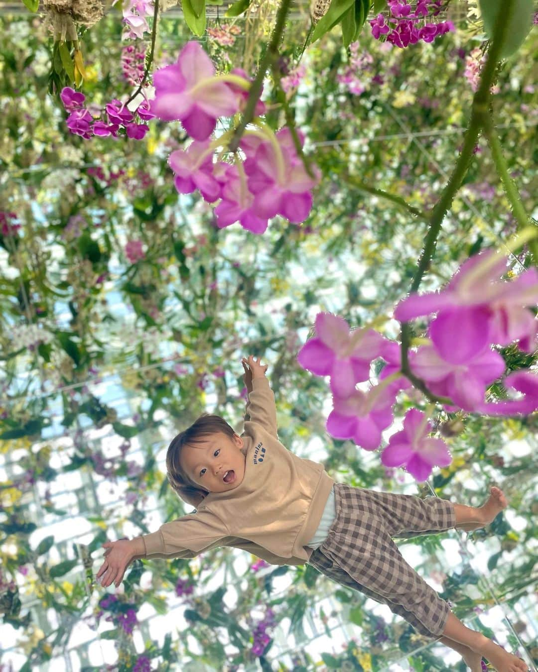 長谷川真美のインスタグラム：「#チームラボ 💐💕 @teamlab.planets  お友達親子と行ってきたよ〜✨ 何回来ても楽しくて 子どもたちも大喜び👶🙌  「身体ごと没入する」アート体験✨ なんと水に入るエリアがあったり 香りや音、光に癒されたり 五感が刺激される〜💕  PR @teamlab.planets #チームラボ #デートスポット #東京観光 #東京旅行 #teamlab #teamlabplanets #チームラボプラネッツ #豊洲」