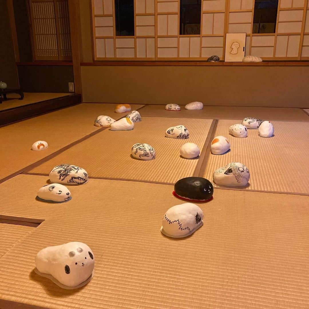 朝倉世界一さんのインスタグラム写真 - (朝倉世界一Instagram)「お犬様たちに座布団を敷く作業が終わりました」10月14日 18時18分 - askura1