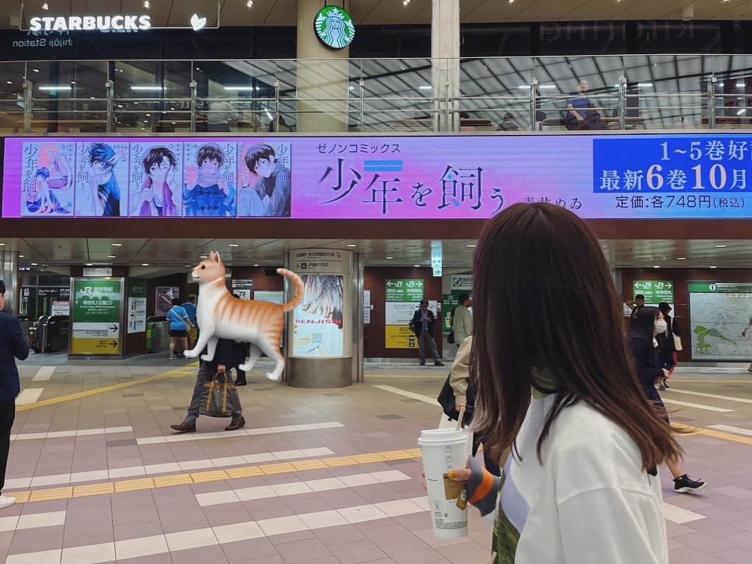 石川恋さんのインスタグラム写真 - (石川恋Instagram)「吉祥寺駅で現在放映中の猫カレ広告を見に行ってきました🐈 吉祥寺周辺は、私が上京して初めて暮らした街です。 一人暮らしや大学生活、バイトなど、たくさんの新しい経験をしたとても思い出深い場所。 ドラマでは藍と凪沙が一緒に暮らした街が吉祥寺という設定だったので、昔を思い返し懐かしさを感じながら撮影をしていました☺️ こちらの広告は今月22日まで放映されているので、お近くの方はぜひチェックしてみてください！  さてさてこの後24:00〜BSテレ東「猫カレ-少年を飼う-」第2話🐈 テレビ大阪では24:30〜です！ ご覧いただけない地域の方はTVerで無料見逃し配信もされています！ 第2話もどうぞお楽しみに💫  #真夜中ドラマ #猫カレ #少年を飼う #BSテレ東 #テレビ大阪 #TVer #Lemino #吉祥寺」10月14日 18時19分 - ren_ishikawa
